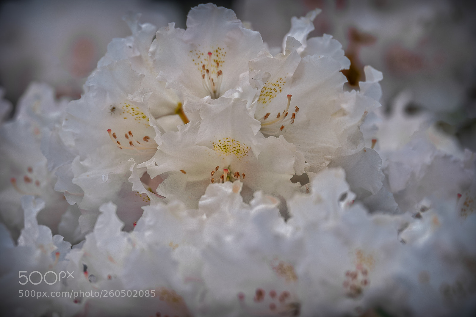 Fujifilm X-T2 sample photo. Edit edit photography