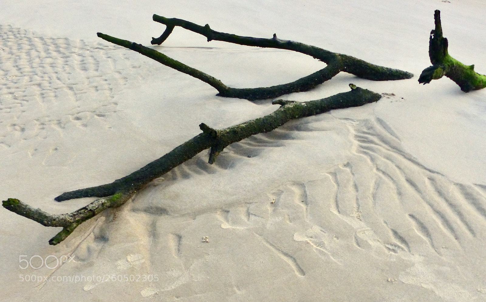 Panasonic Lumix DMC-FZ200 sample photo. Sculpted by nature photography