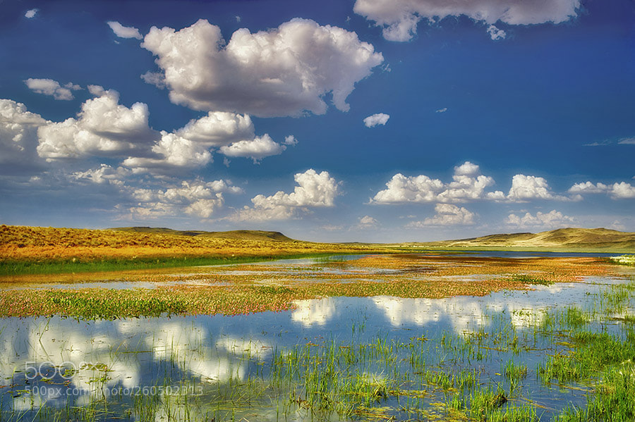 Canon EOS-1Ds Mark II sample photo. Summit lake with orange photography