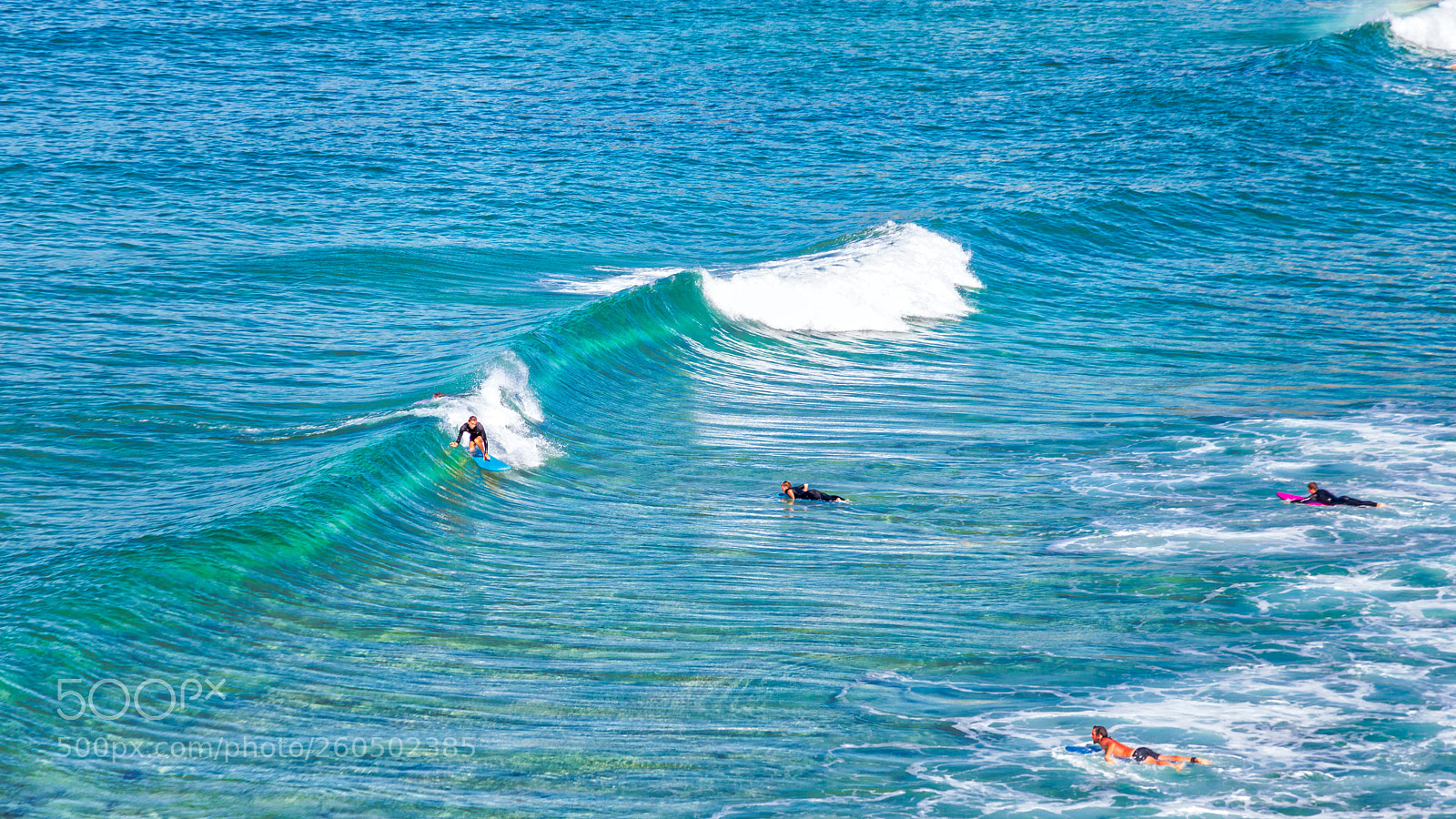 Canon EOS 5D Mark IV sample photo. Surfing in sydney photography