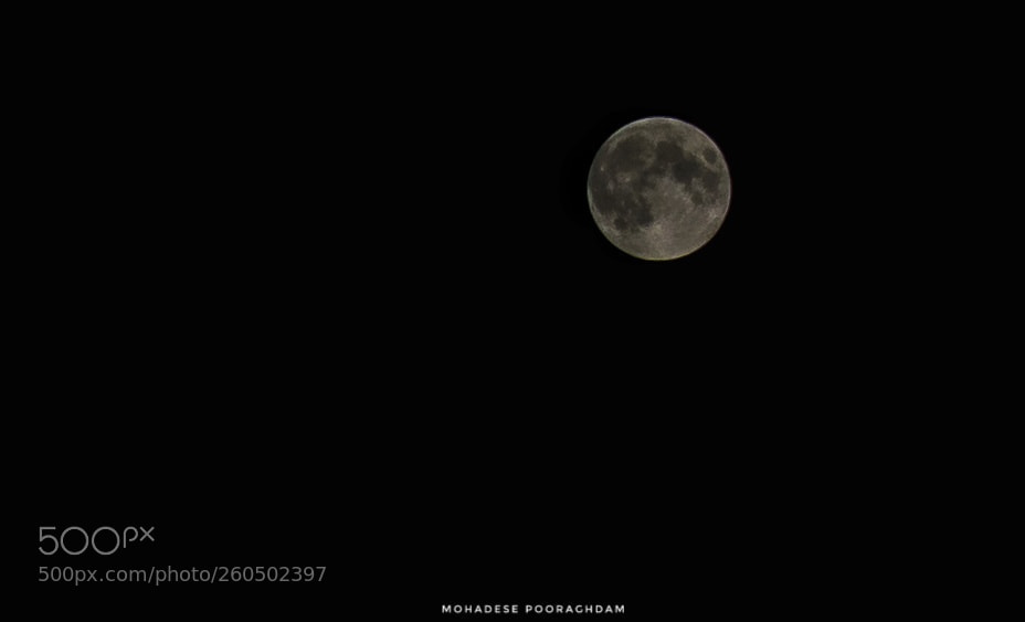 Nikon D5300 sample photo. Moon photography