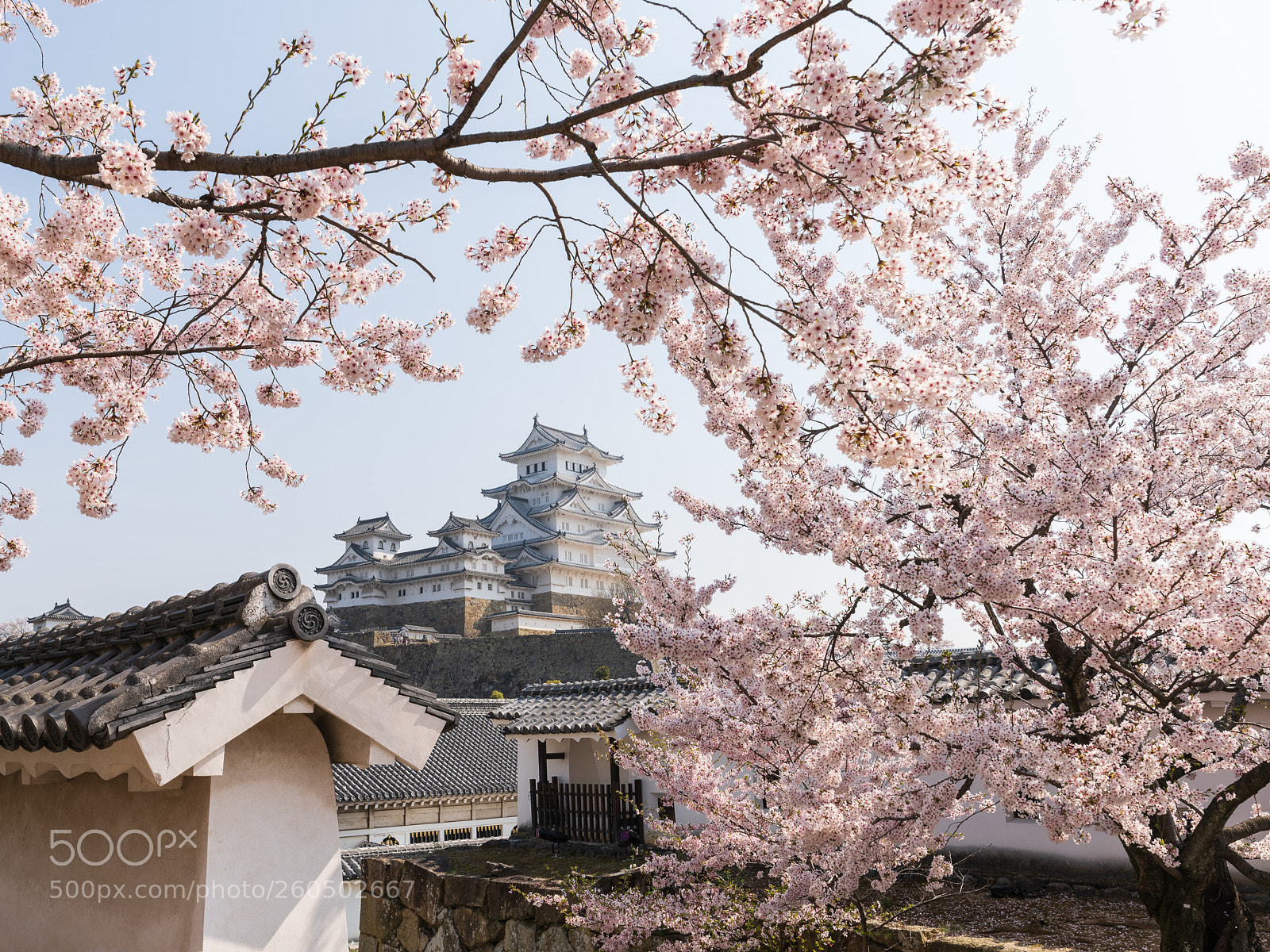 Sony a7R II sample photo. The himeji castle, japan photography