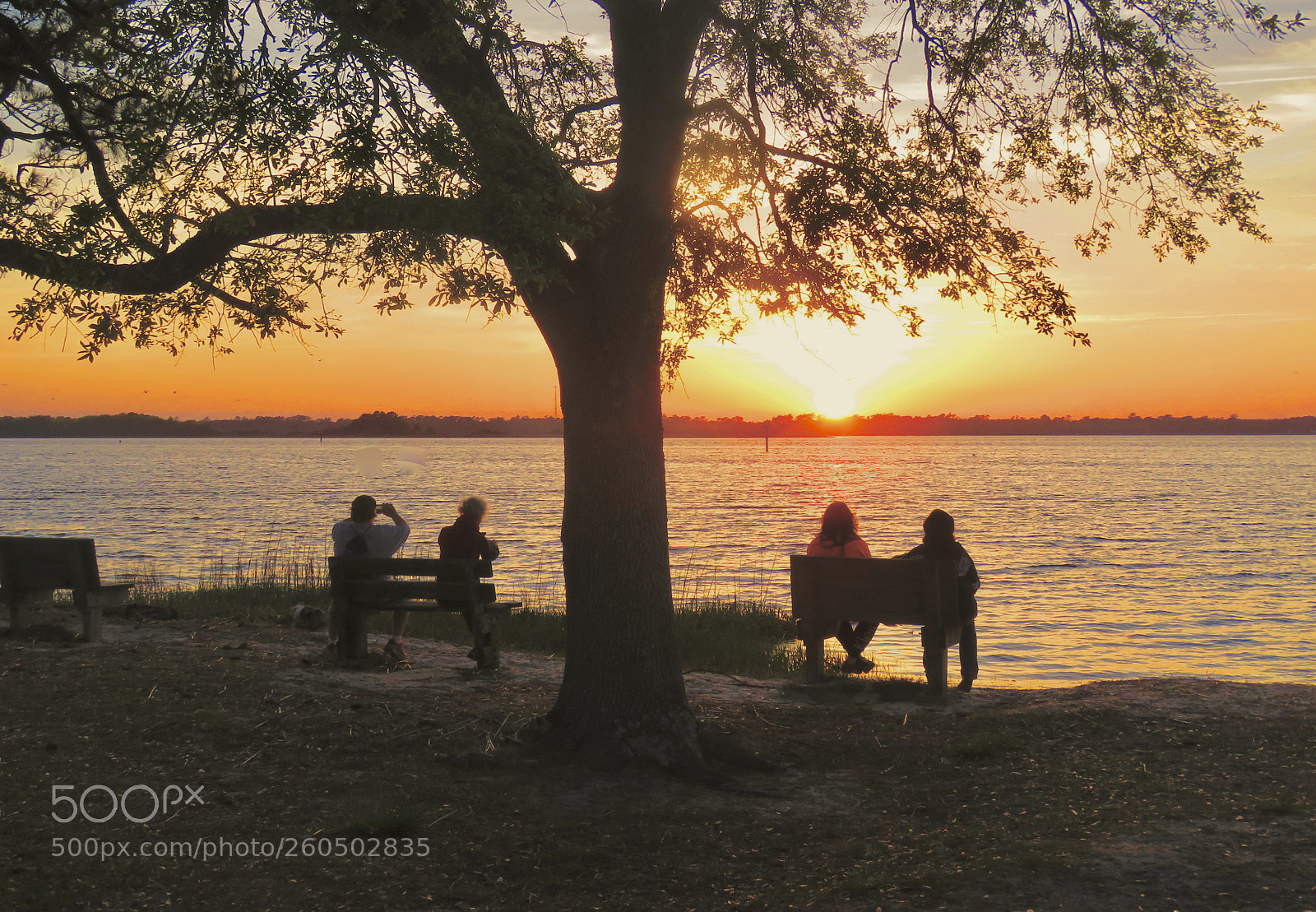 Canon PowerShot SX60 HS sample photo. Sunset spectators photography