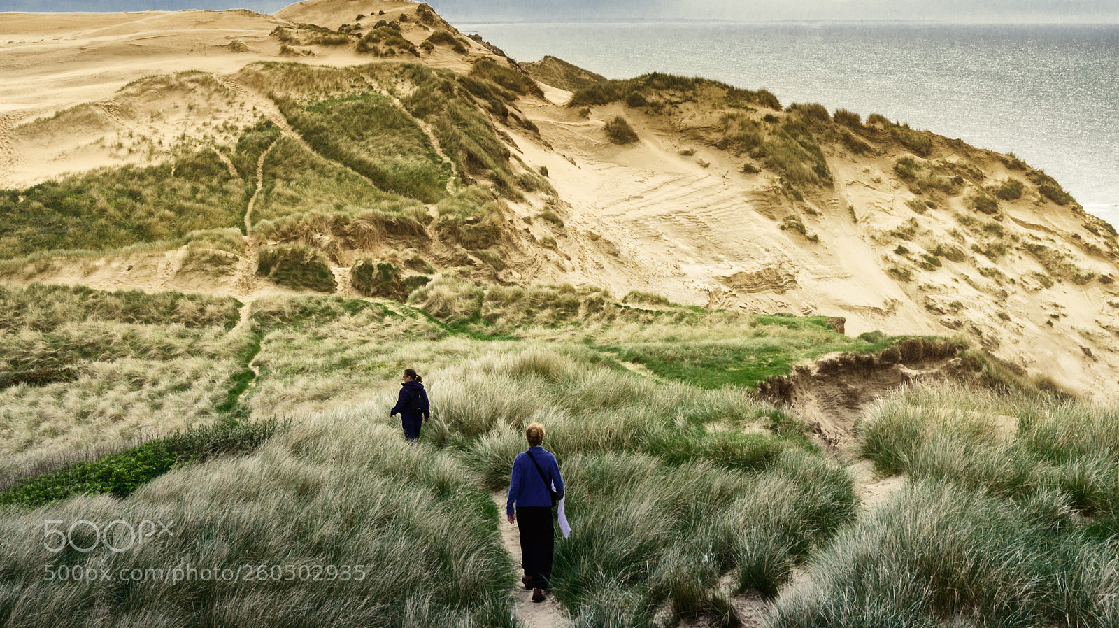 Sony SLT-A55 (SLT-A55V) sample photo. Dunes photography