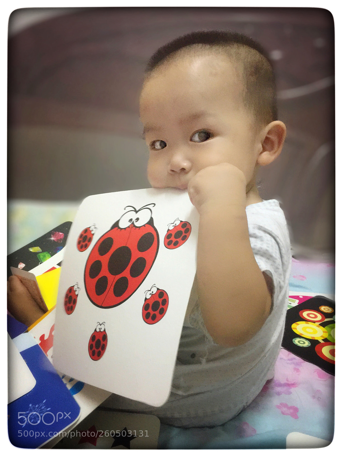 Apple iPhone 6 Plus sample photo. Untitled photography