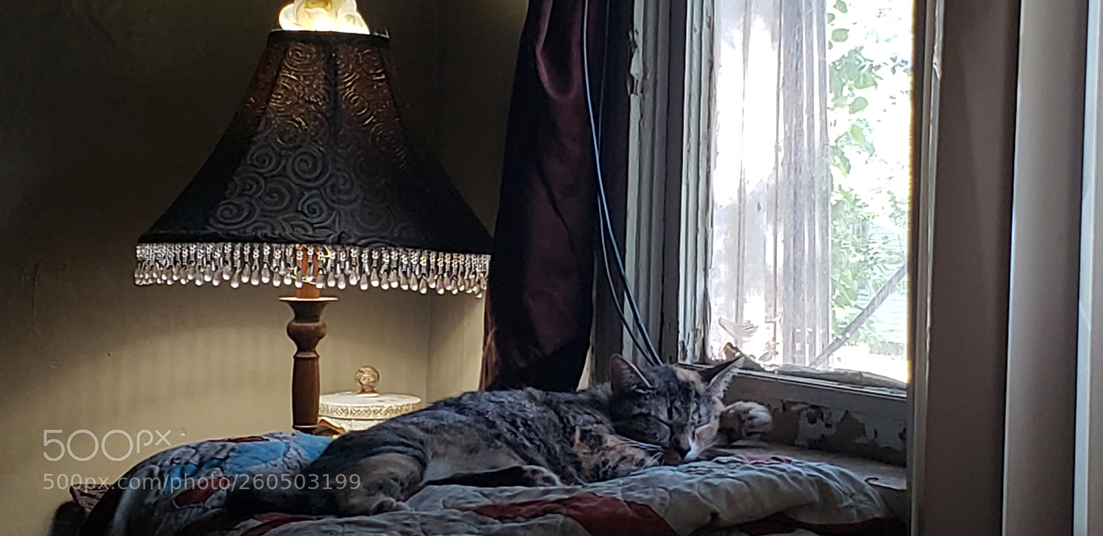 Samsung Galaxy S9 sample photo. Untitled photography