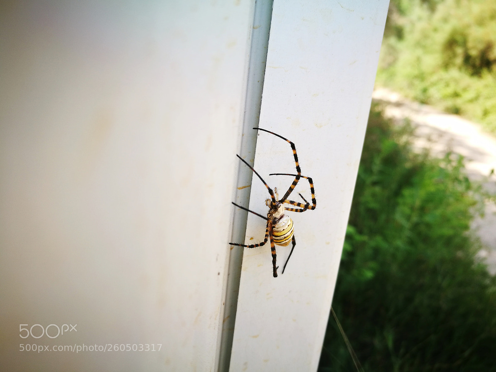 HUAWEI P9 sample photo. Untitled photography