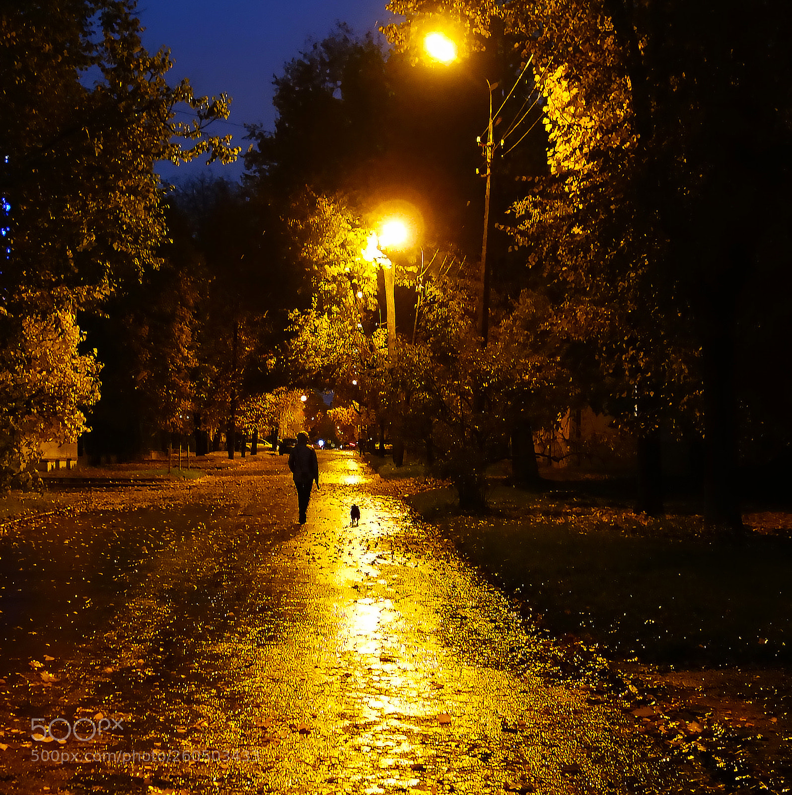 Sony Cyber-shot DSC-RX100 sample photo. двое ... photography