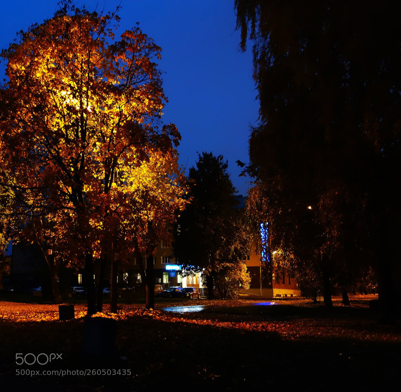 Sony Cyber-shot DSC-RX100 sample photo. вечер photography
