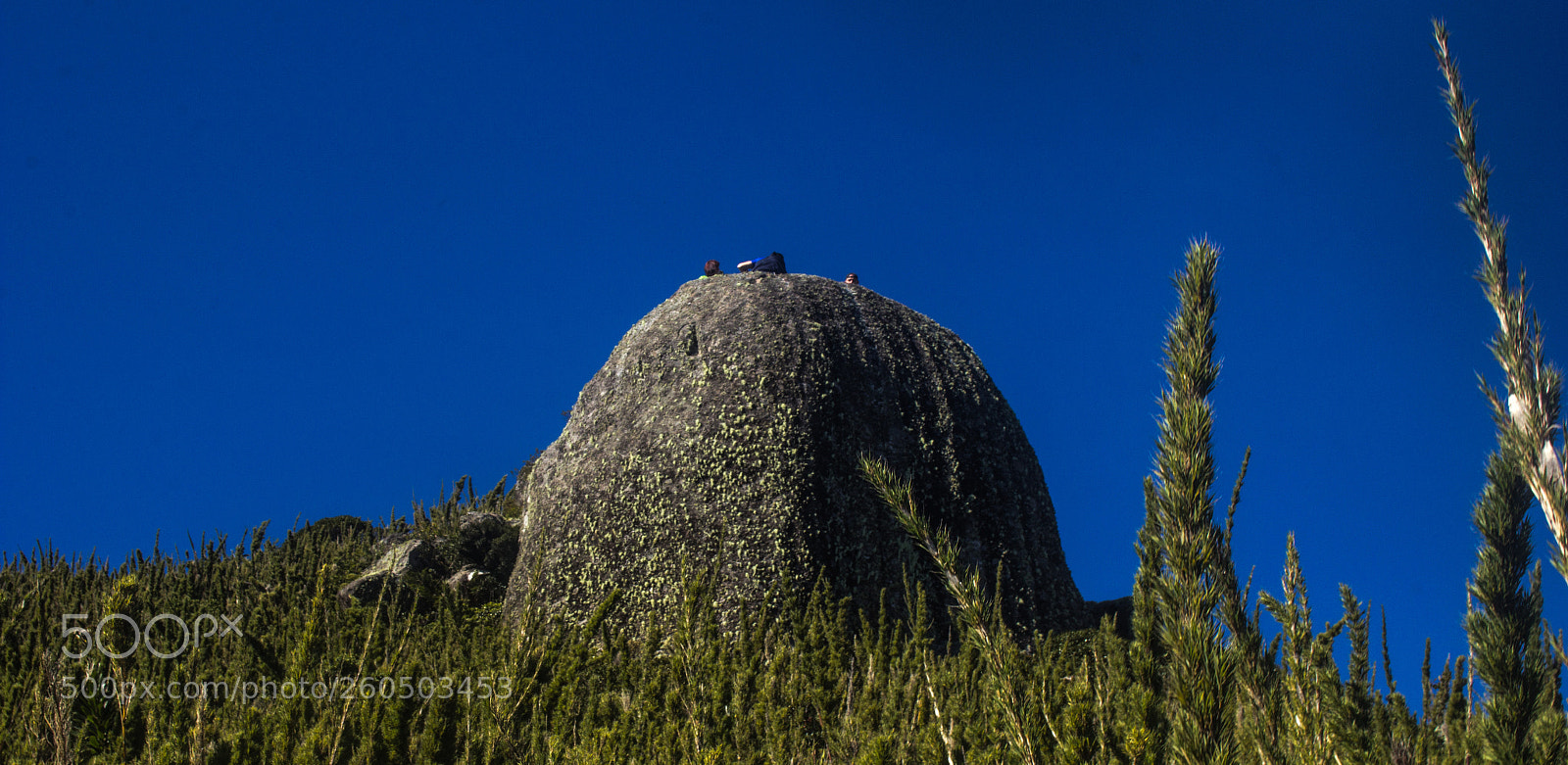 Canon EOS 60D sample photo. Trilha morro caratuca_ 31-05 photography