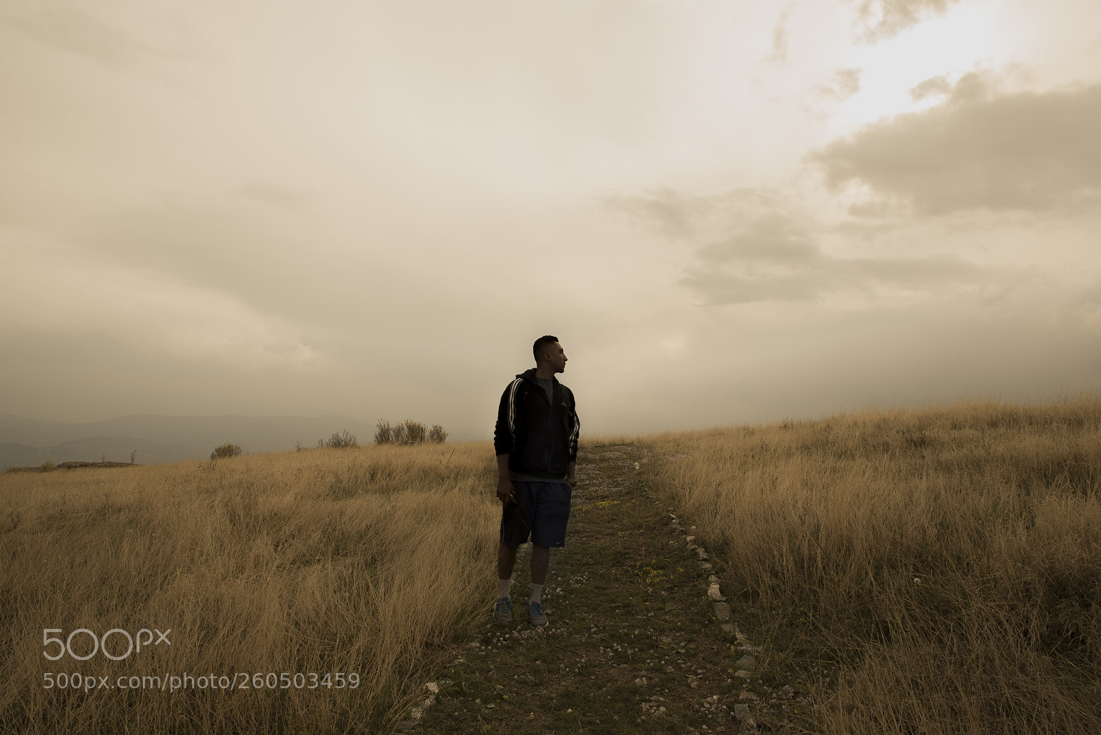 Nikon D750 sample photo. Life photography