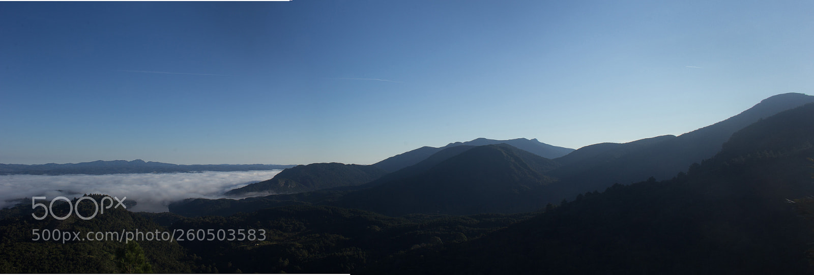 Canon EOS 60D sample photo. Trilha morro caratuca_ 31-05 photography