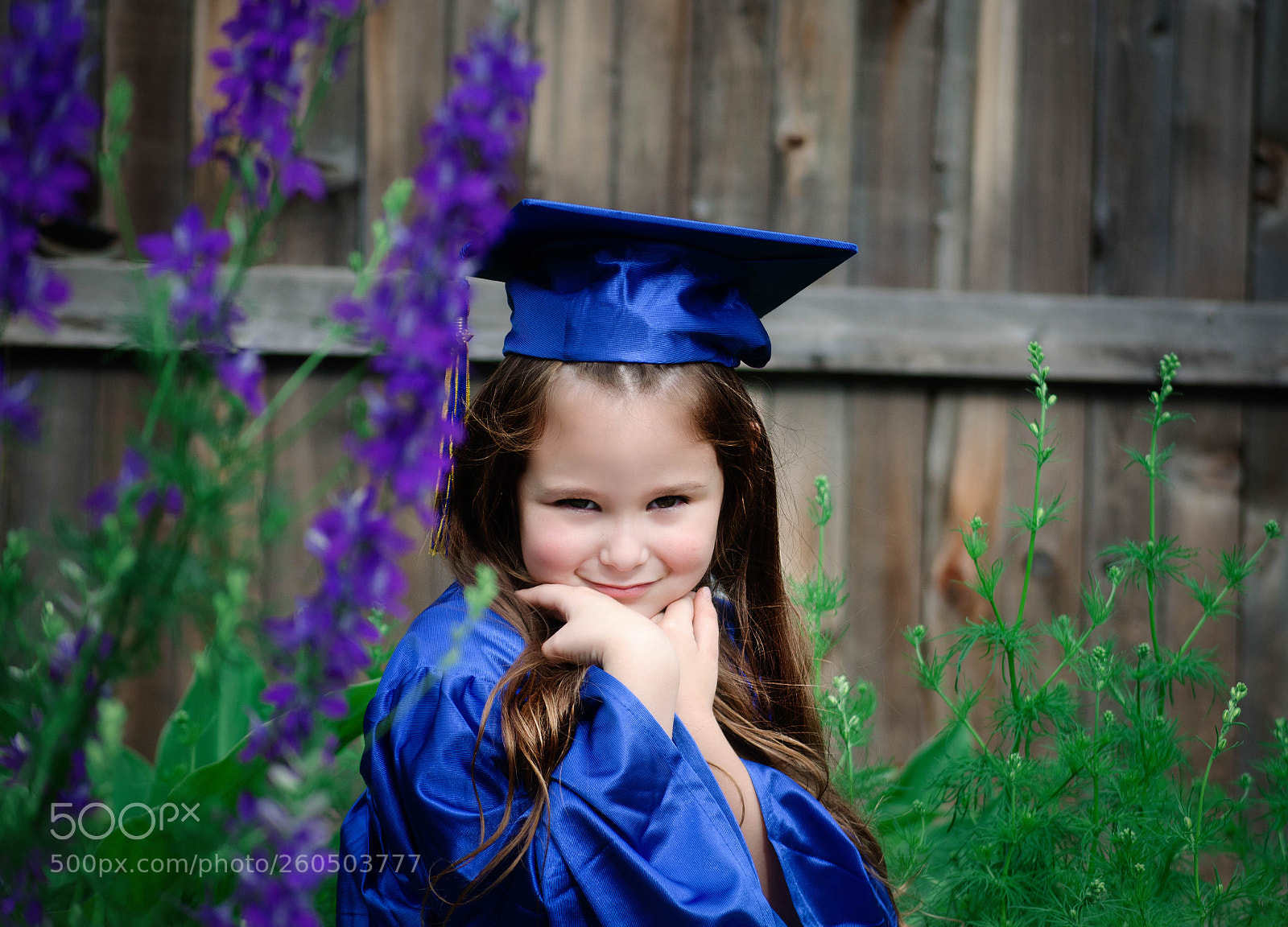Nikon D5100 sample photo. The graduate photography