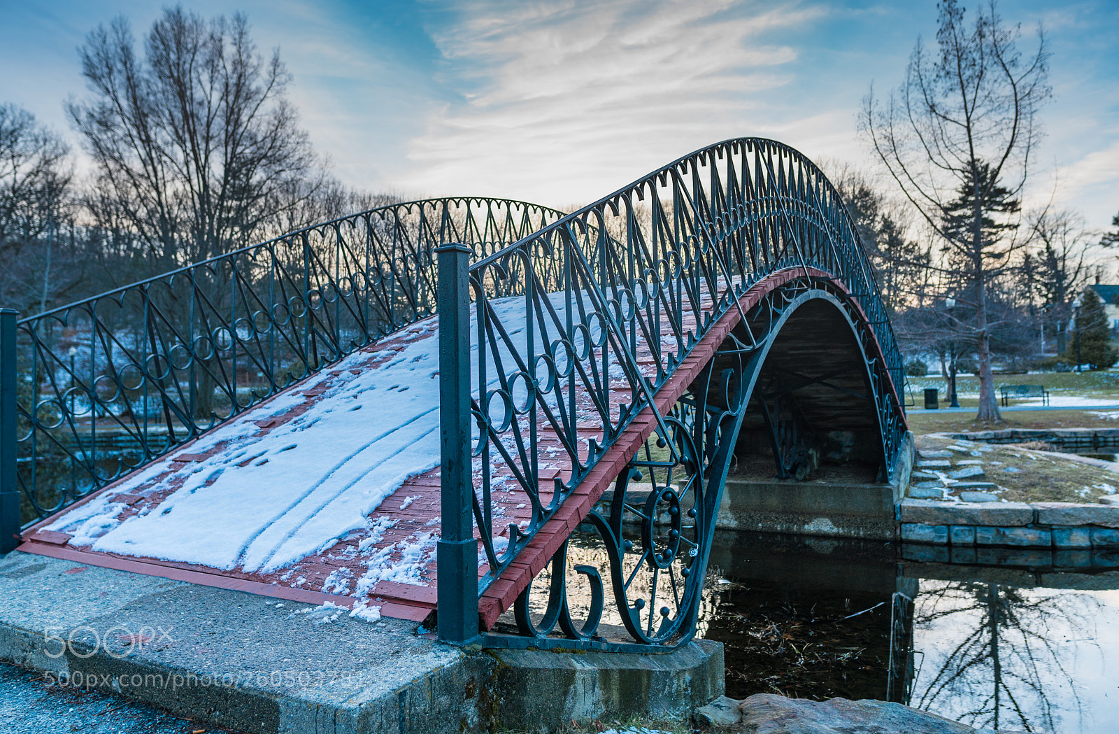 Sony a6300 sample photo. Worcester elm park photography