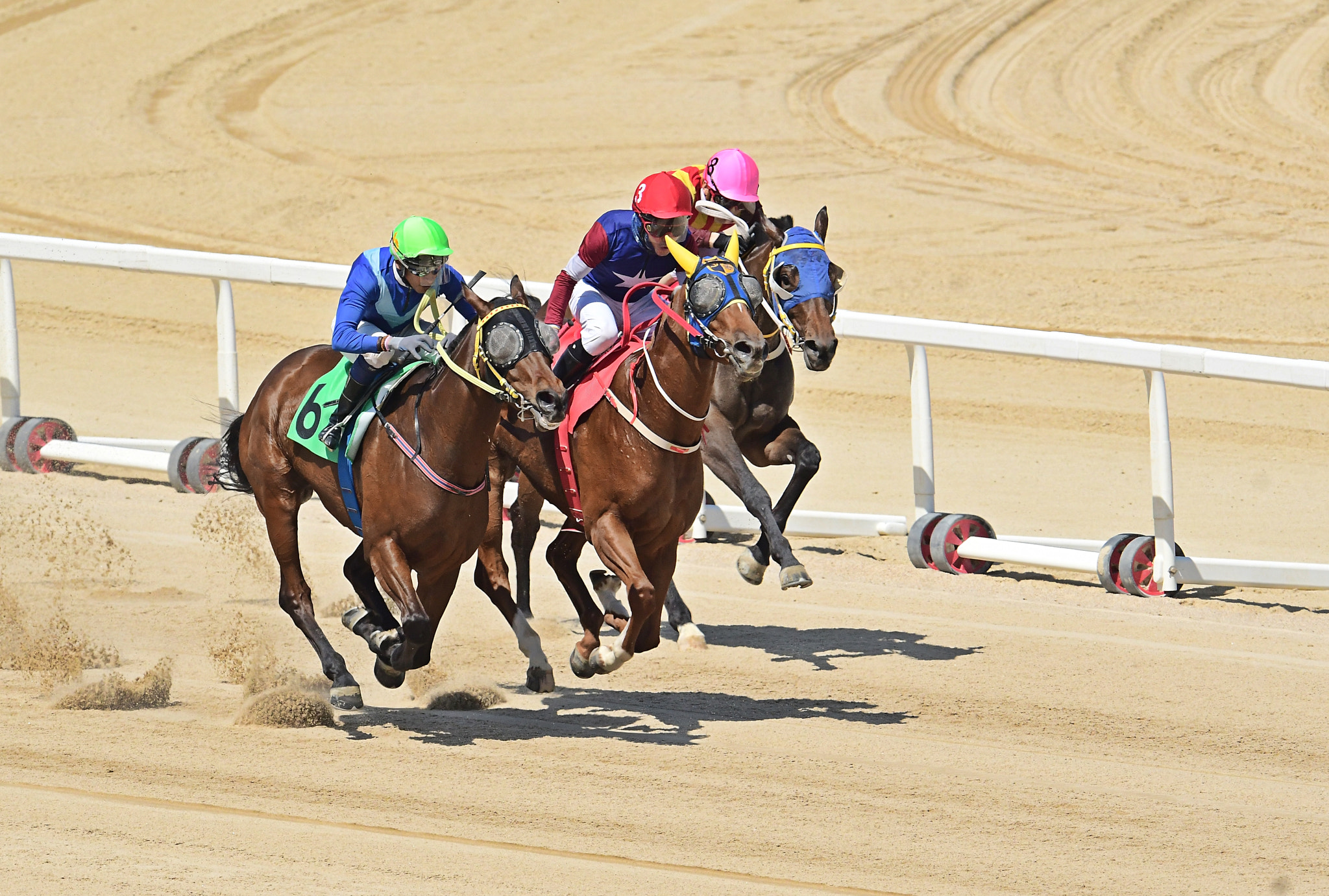 Nikon D500 + Nikon AF-S Nikkor 600mm F4G ED VR sample photo. Horse racing photography