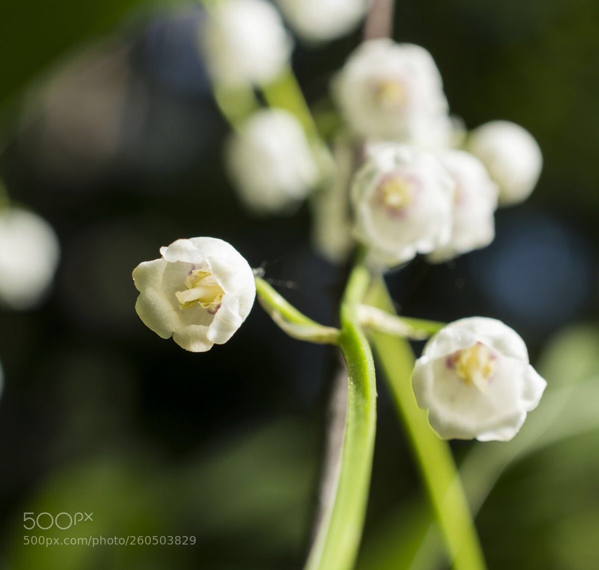 Nikon D3200 sample photo. Untitled photography
