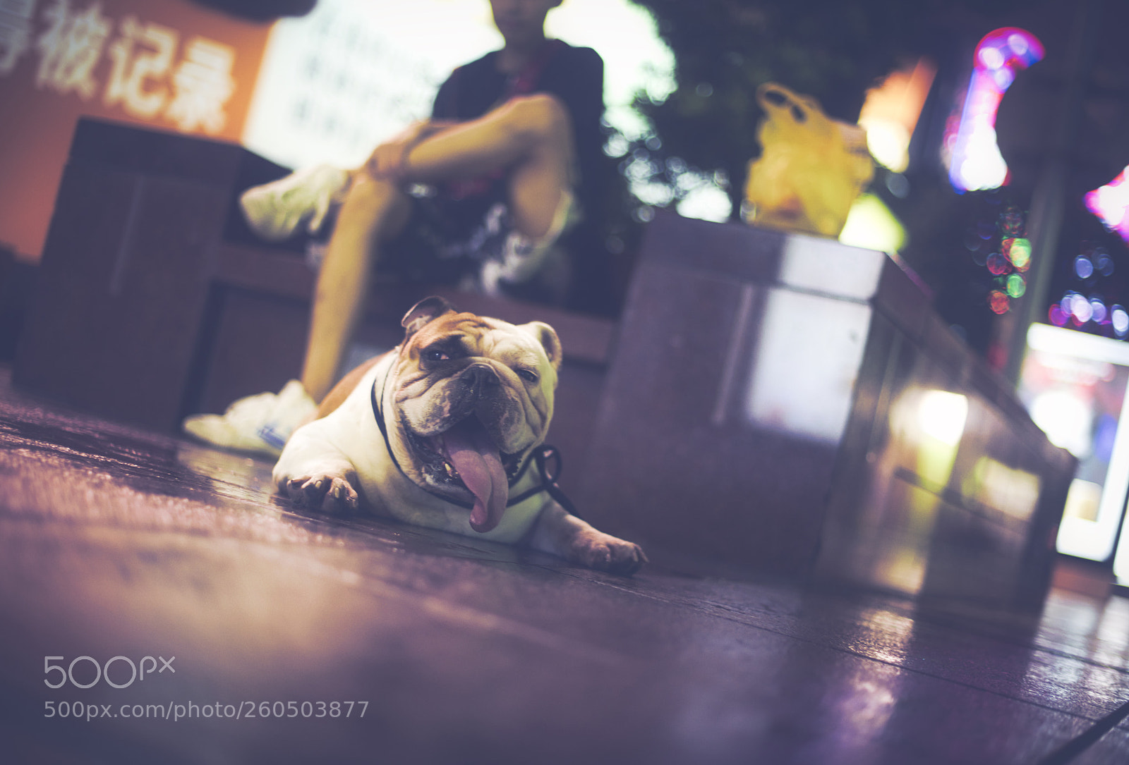 Nikon D810 sample photo. Street watcher photography