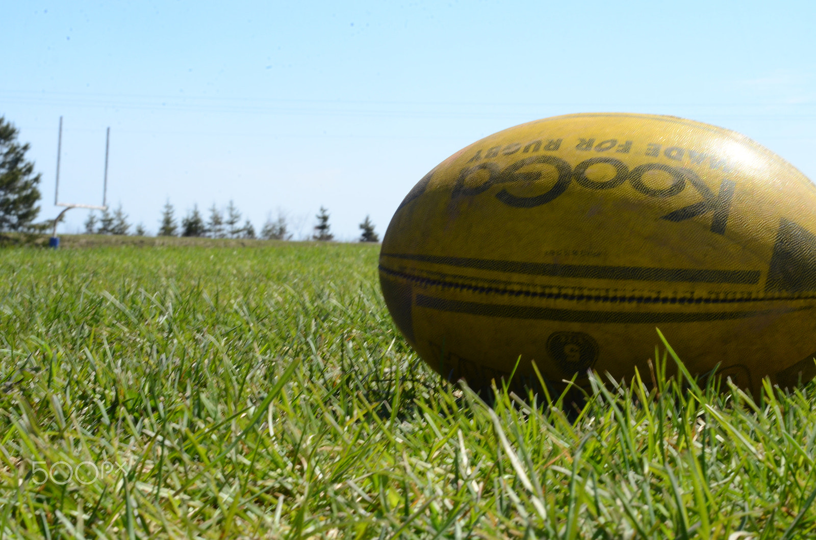 Nikon AF Nikkor 50mm F1.8D sample photo. We're going to need a bigger post photography