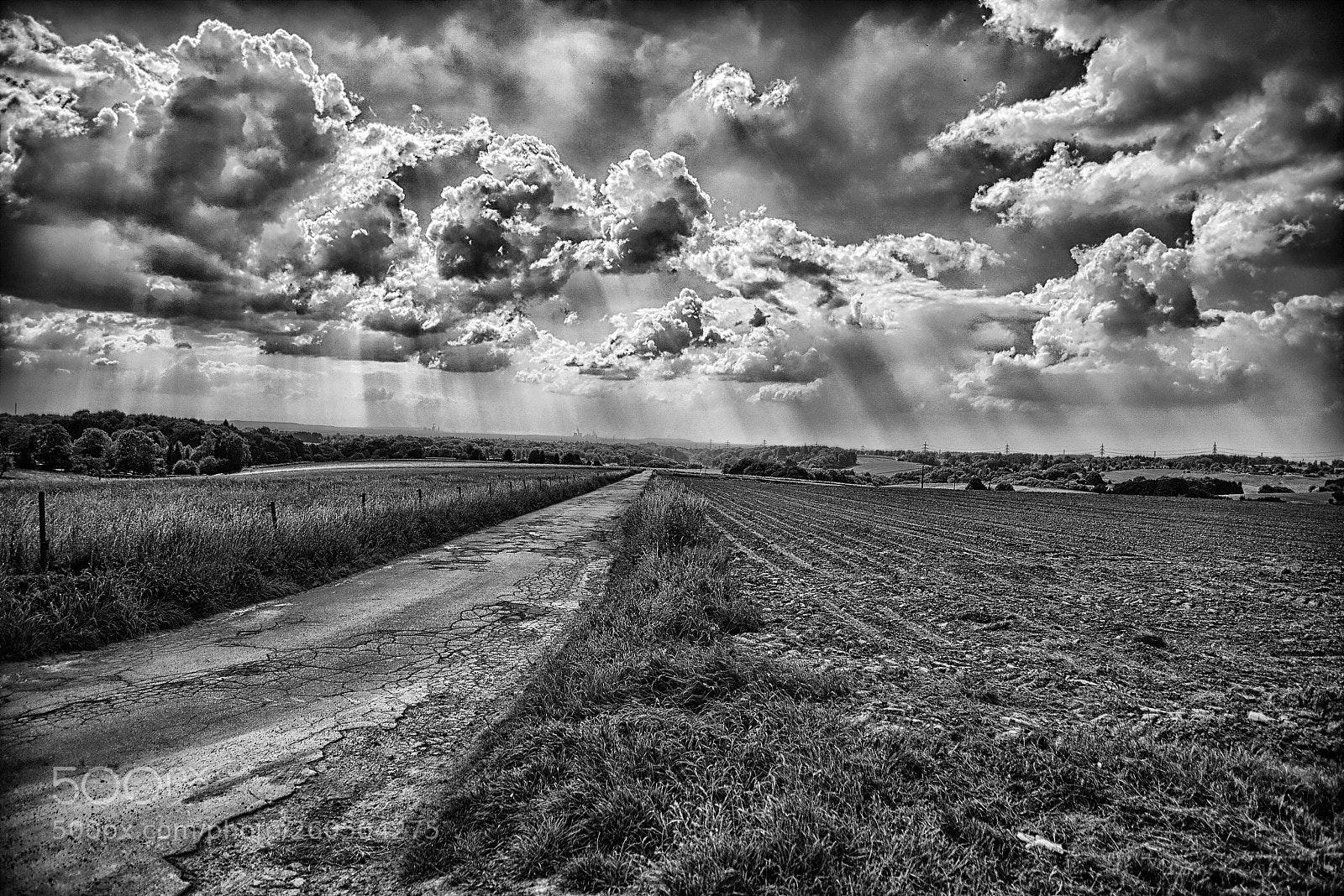 Nikon D800 sample photo. Fernsicht photography