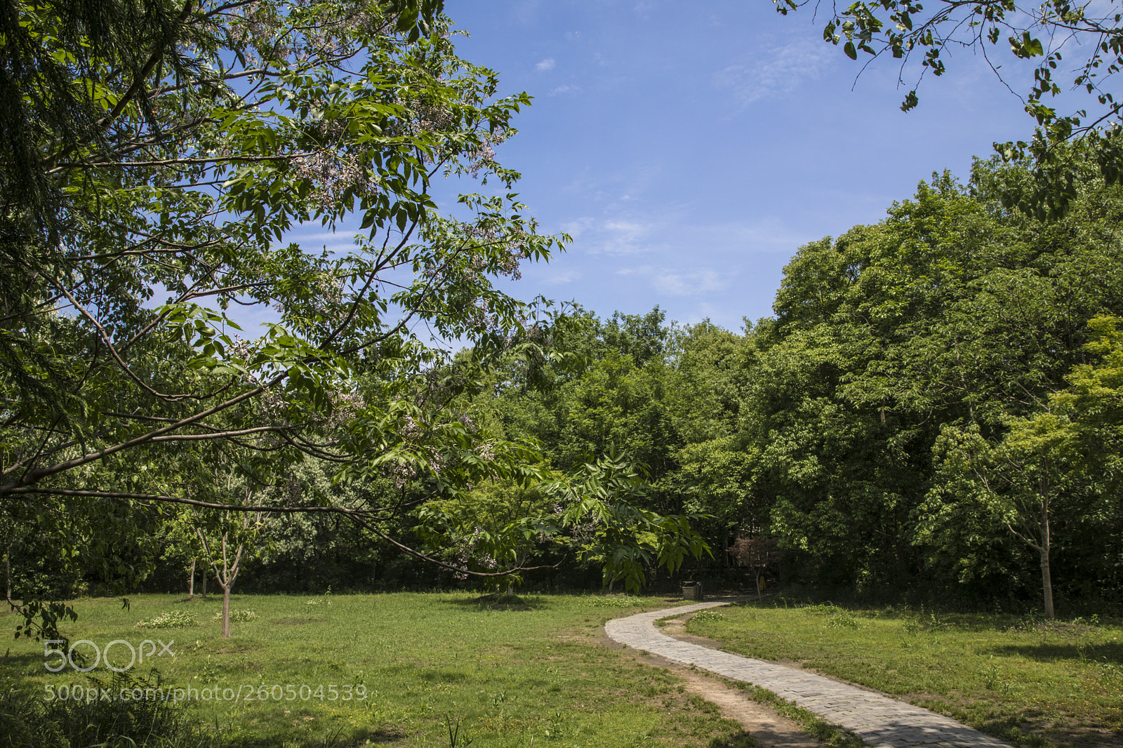 Canon EOS 5D Mark IV sample photo. Untitled photography