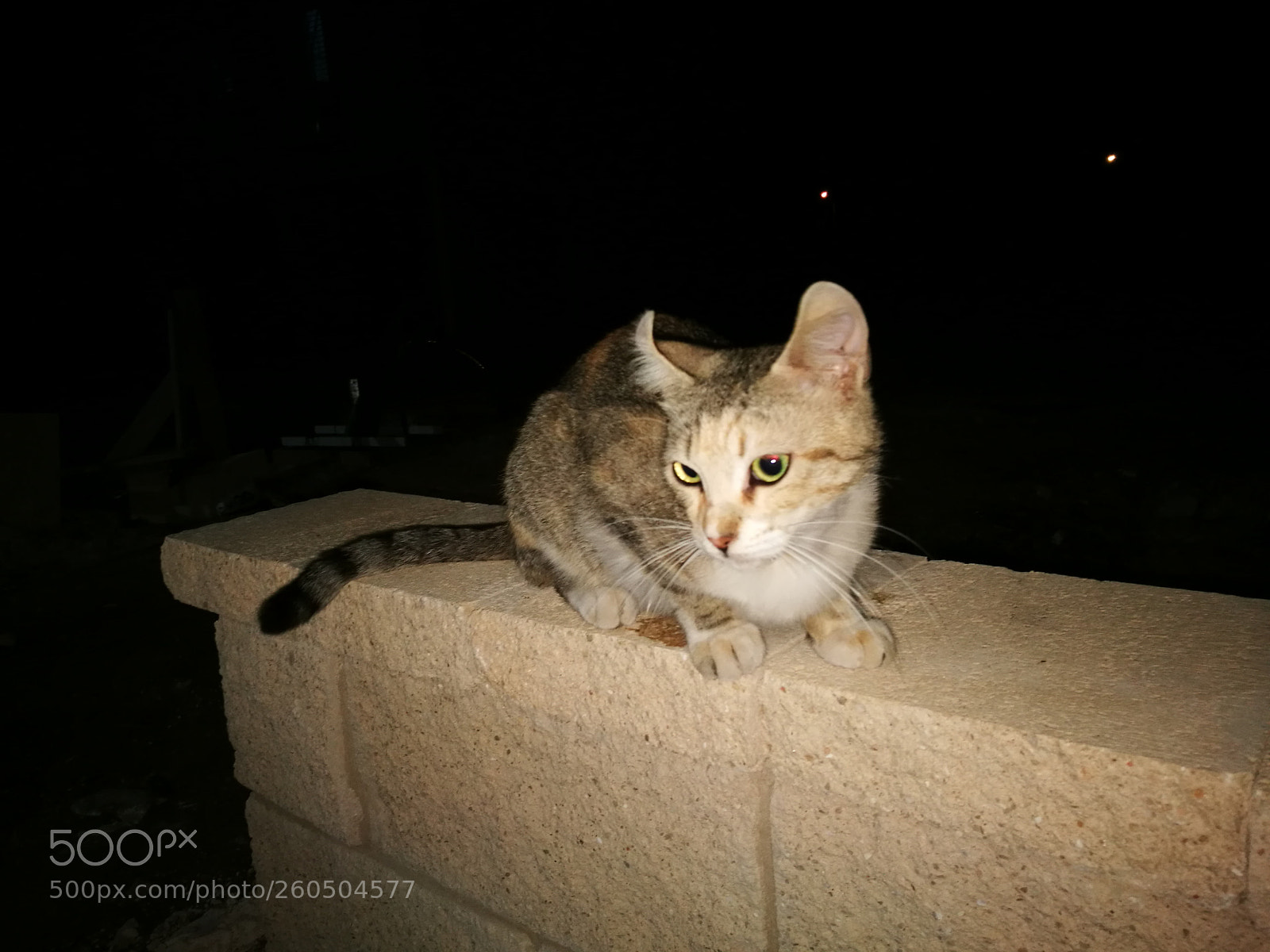 HUAWEI P9 sample photo. Untitled photography