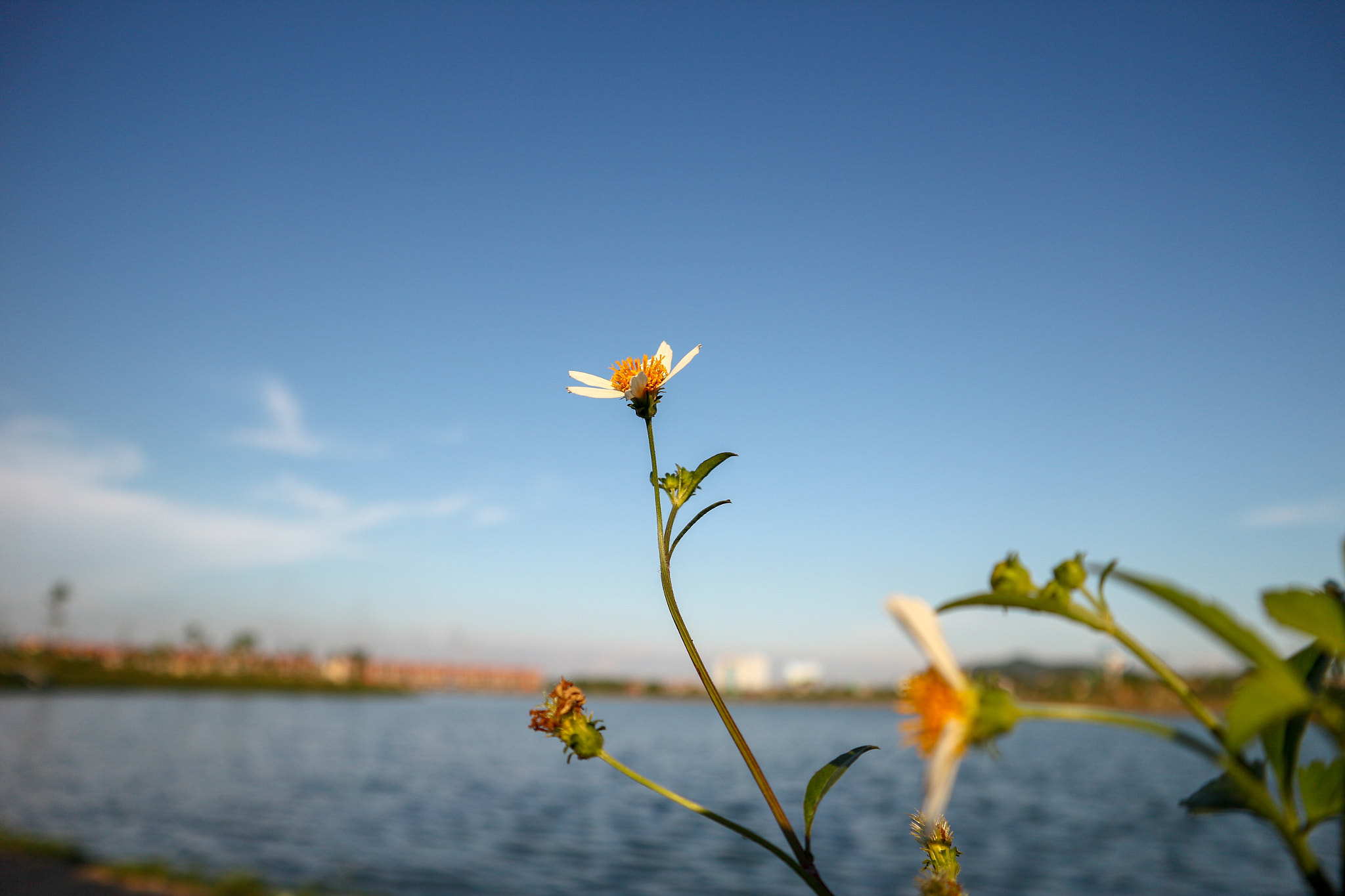 Canon EOS M10 sample photo. Daily life photography