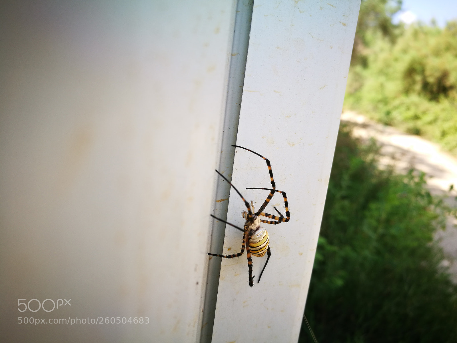 HUAWEI P9 sample photo. Untitled photography