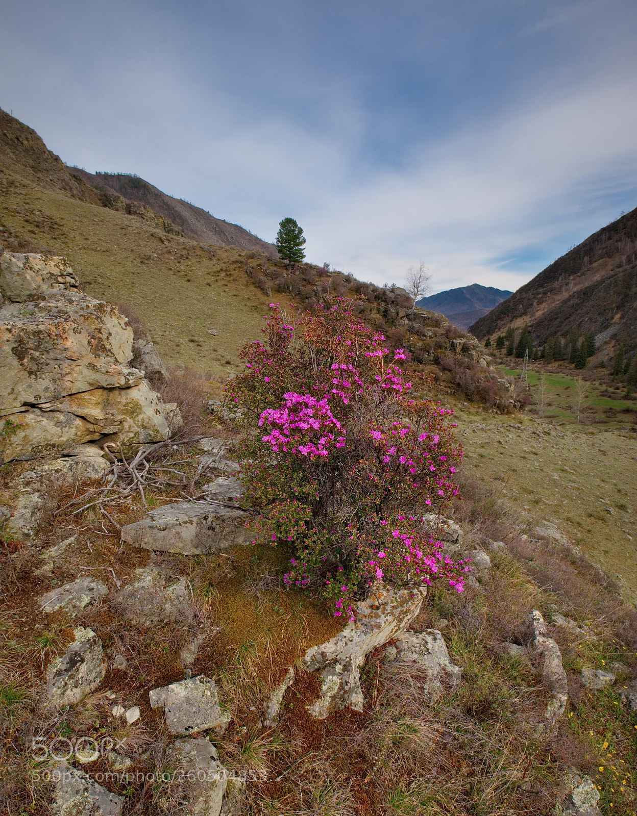 Fujifilm X-T1 sample photo. Russia. the south of photography