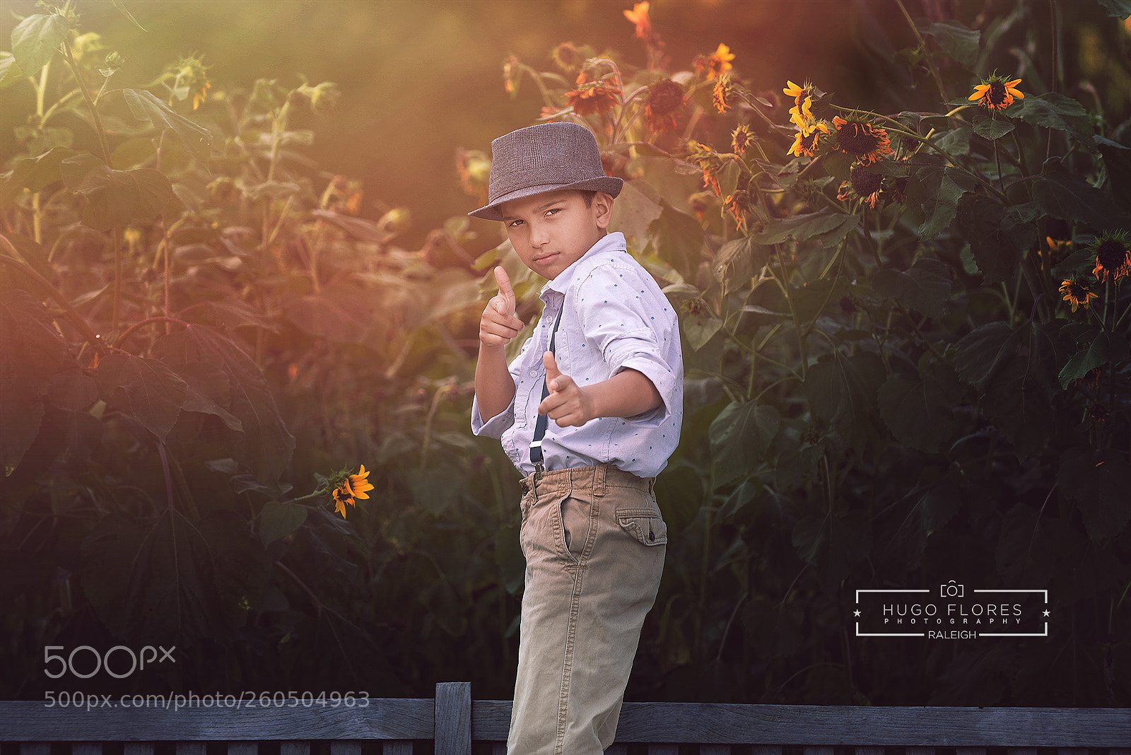 Nikon D750 sample photo. Girasoles photography