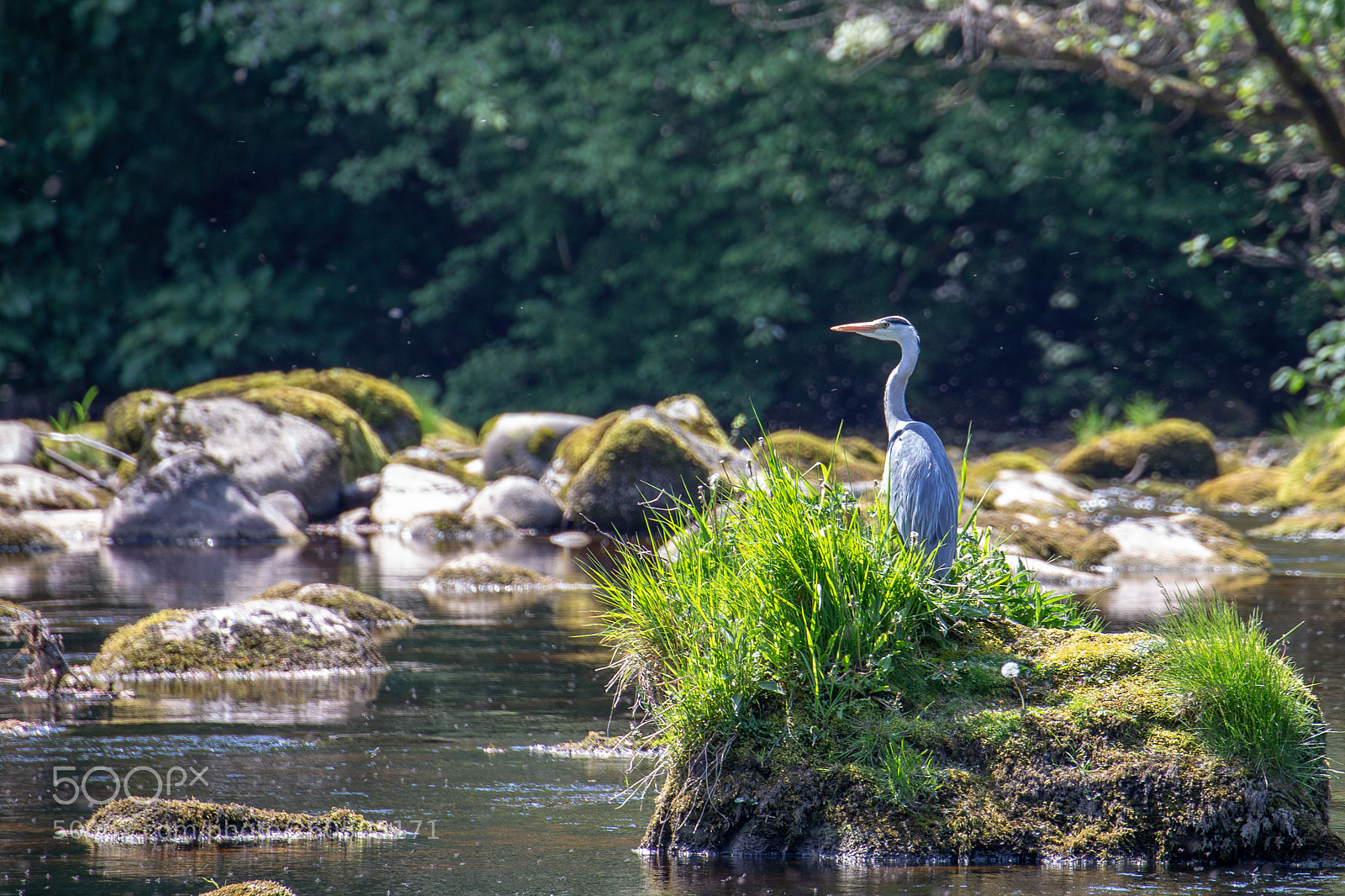 Canon EOS 6D sample photo. Watching photography