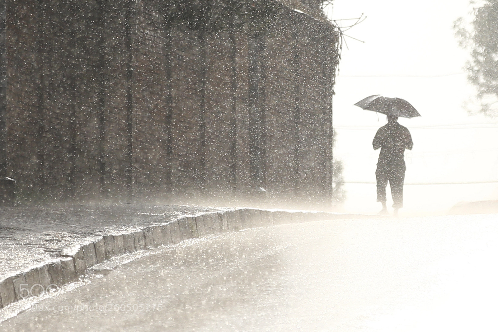 Canon EOS-1D X sample photo. Pre monsoon in nepal photography