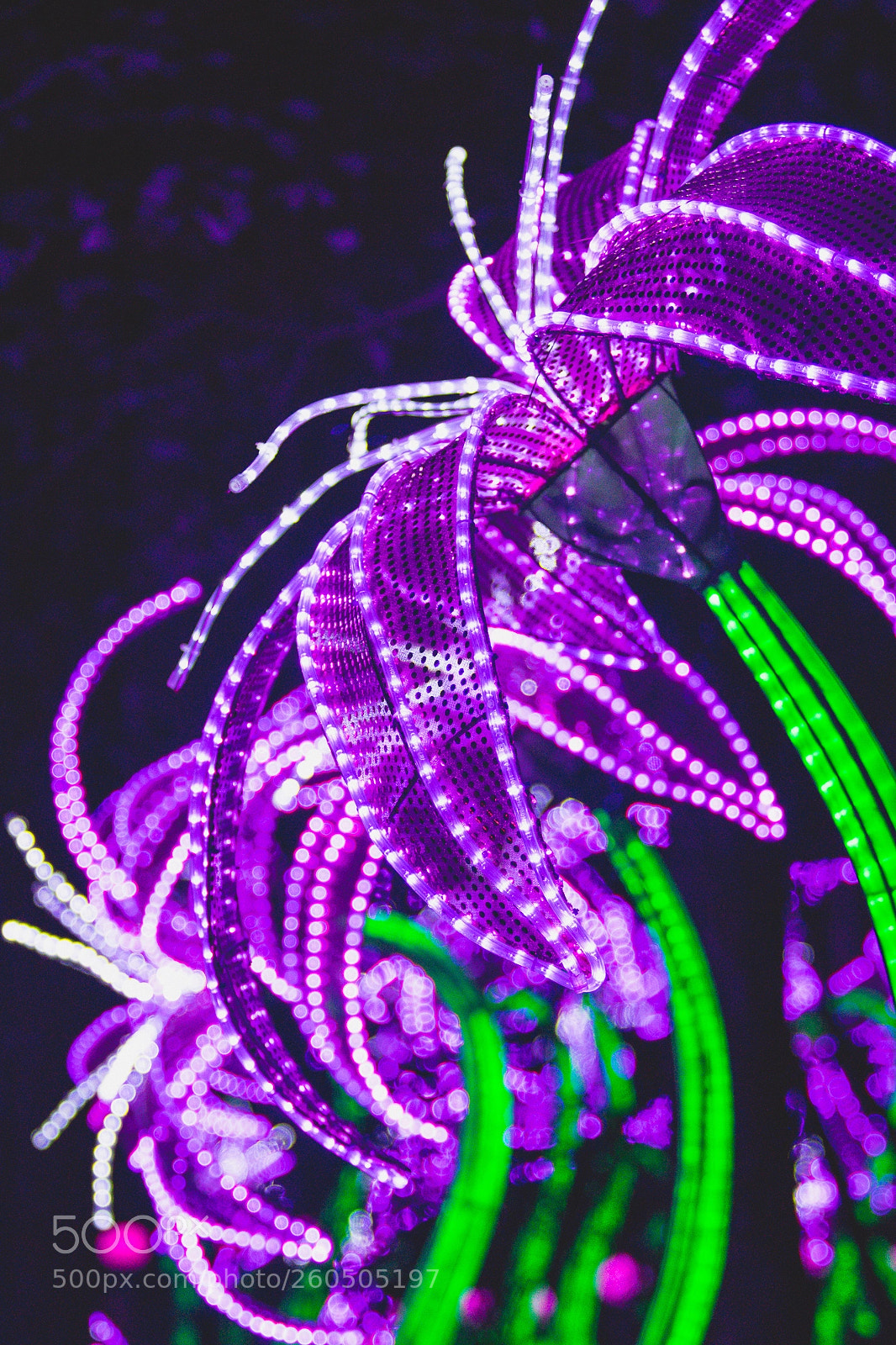 Canon EOS 80D sample photo. Summer lights. photography