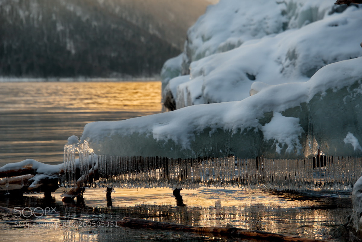 Nikon D750 sample photo. Russia. mountain altai. evening photography