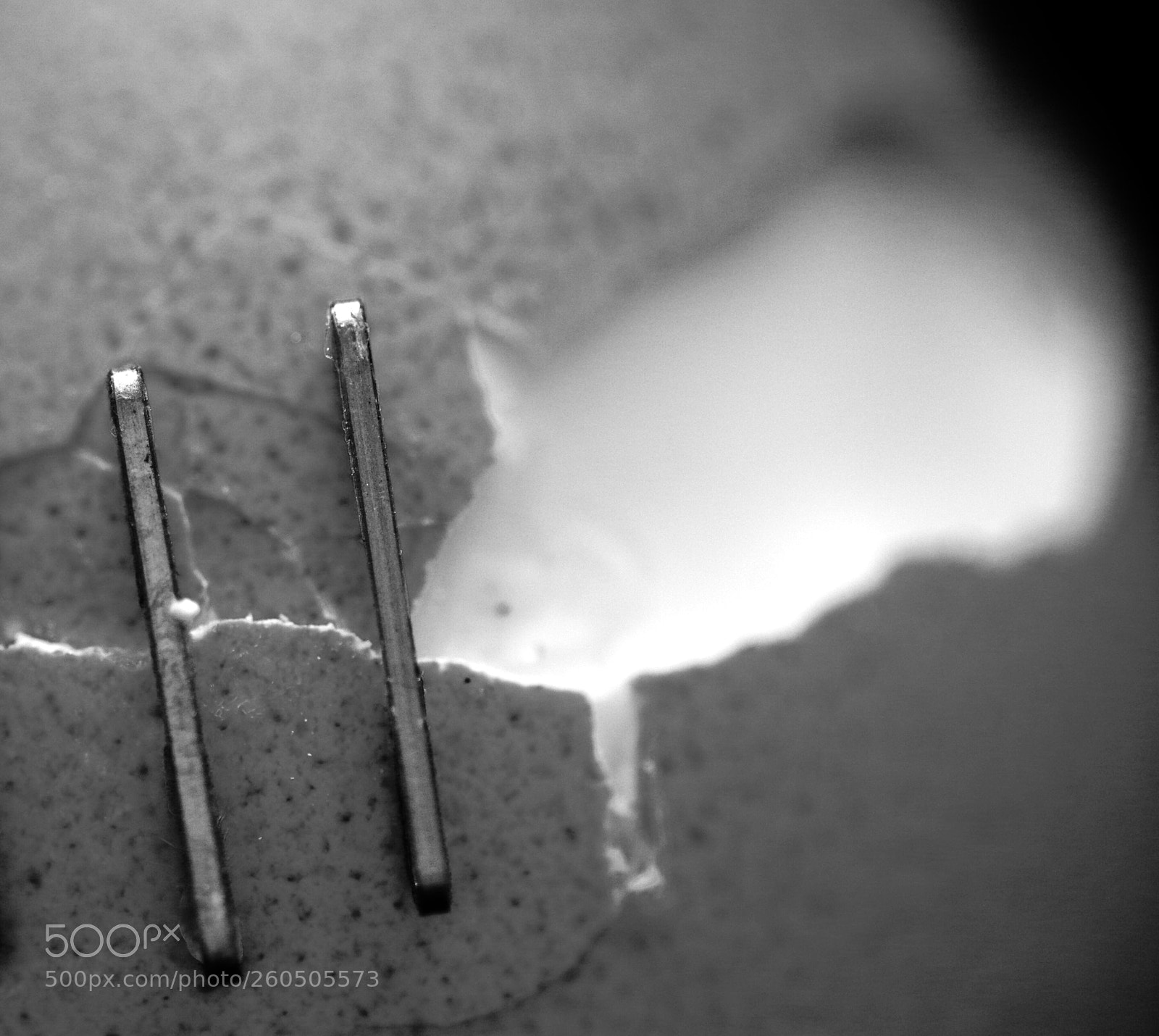 Pentax K-30 sample photo. Egg and staples  photography