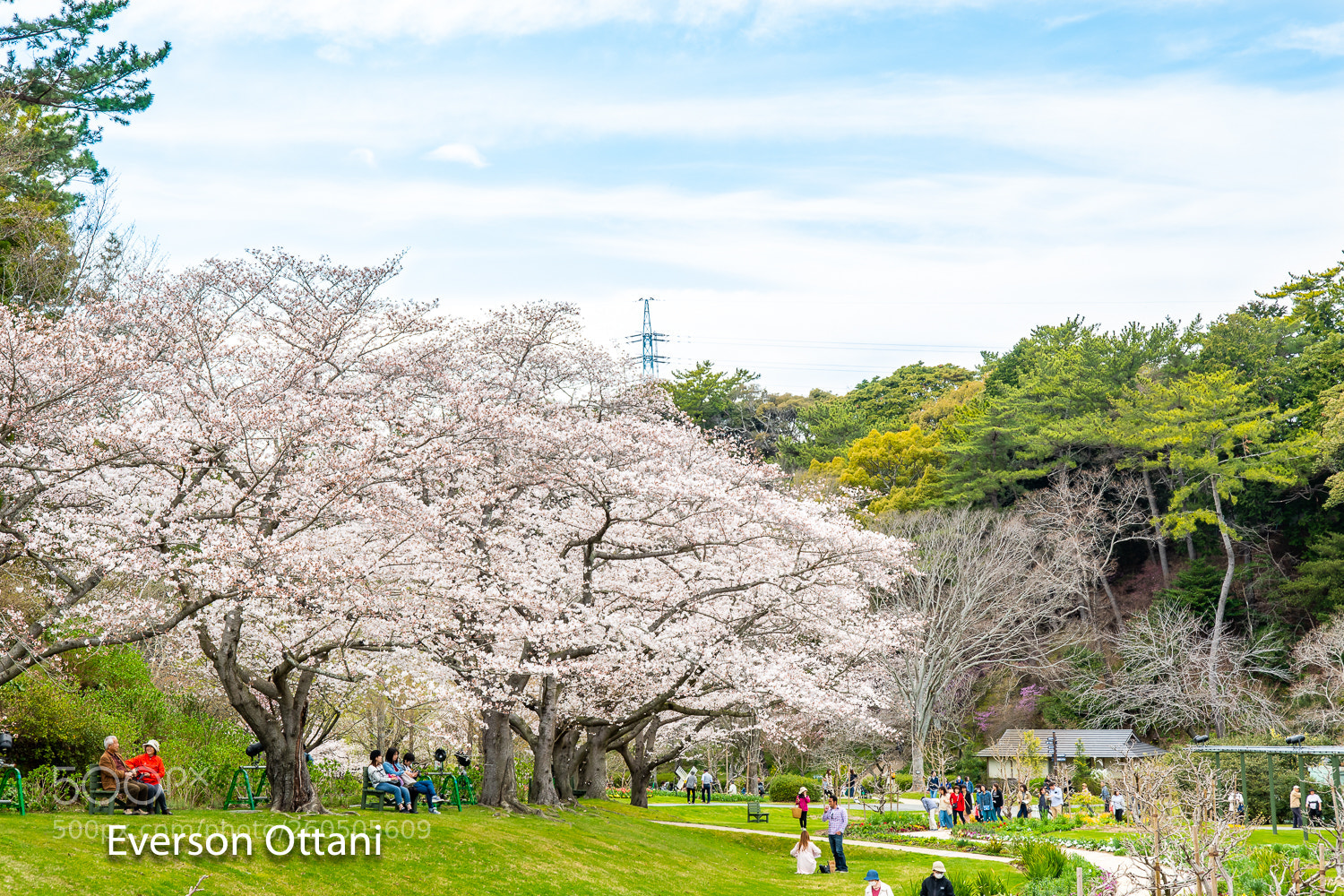Nikon D500 sample photo. Sunday photography