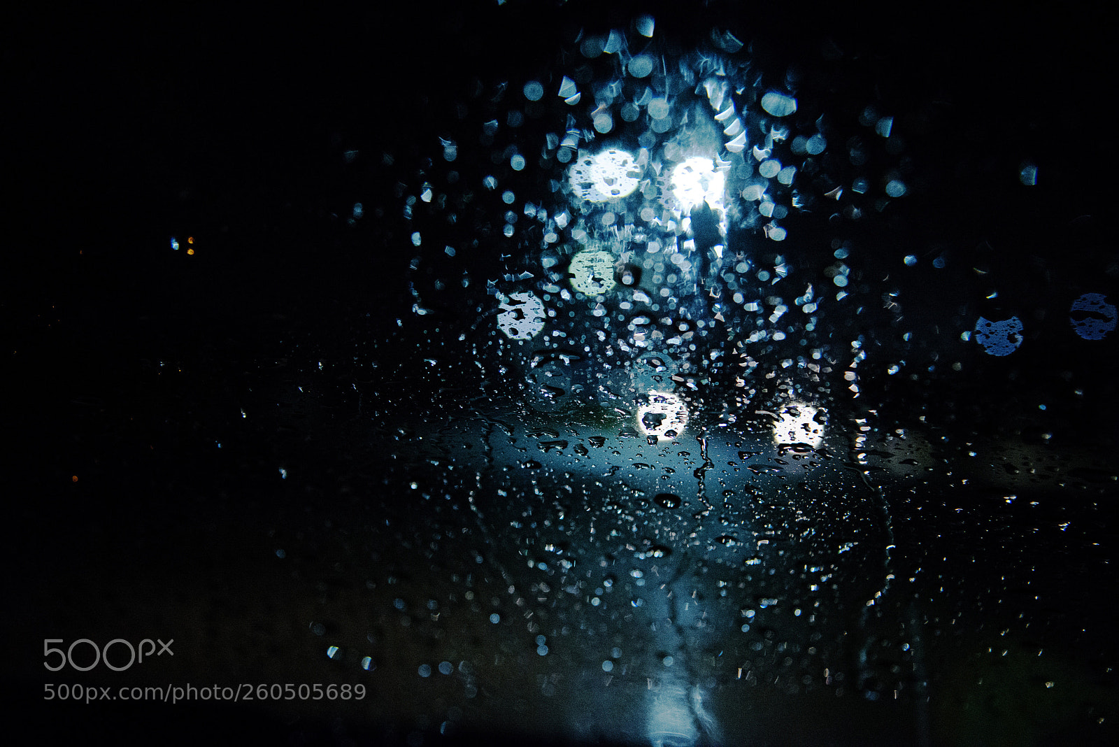 Nikon D610 sample photo. Rain drops photography
