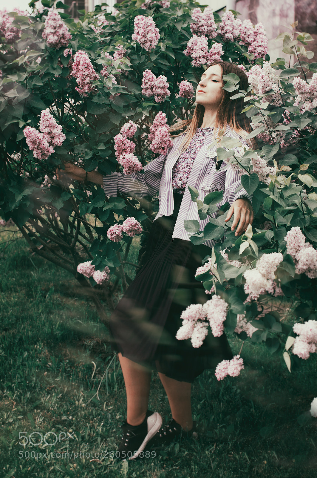 Nikon D90 sample photo. Lilac somnolence photography