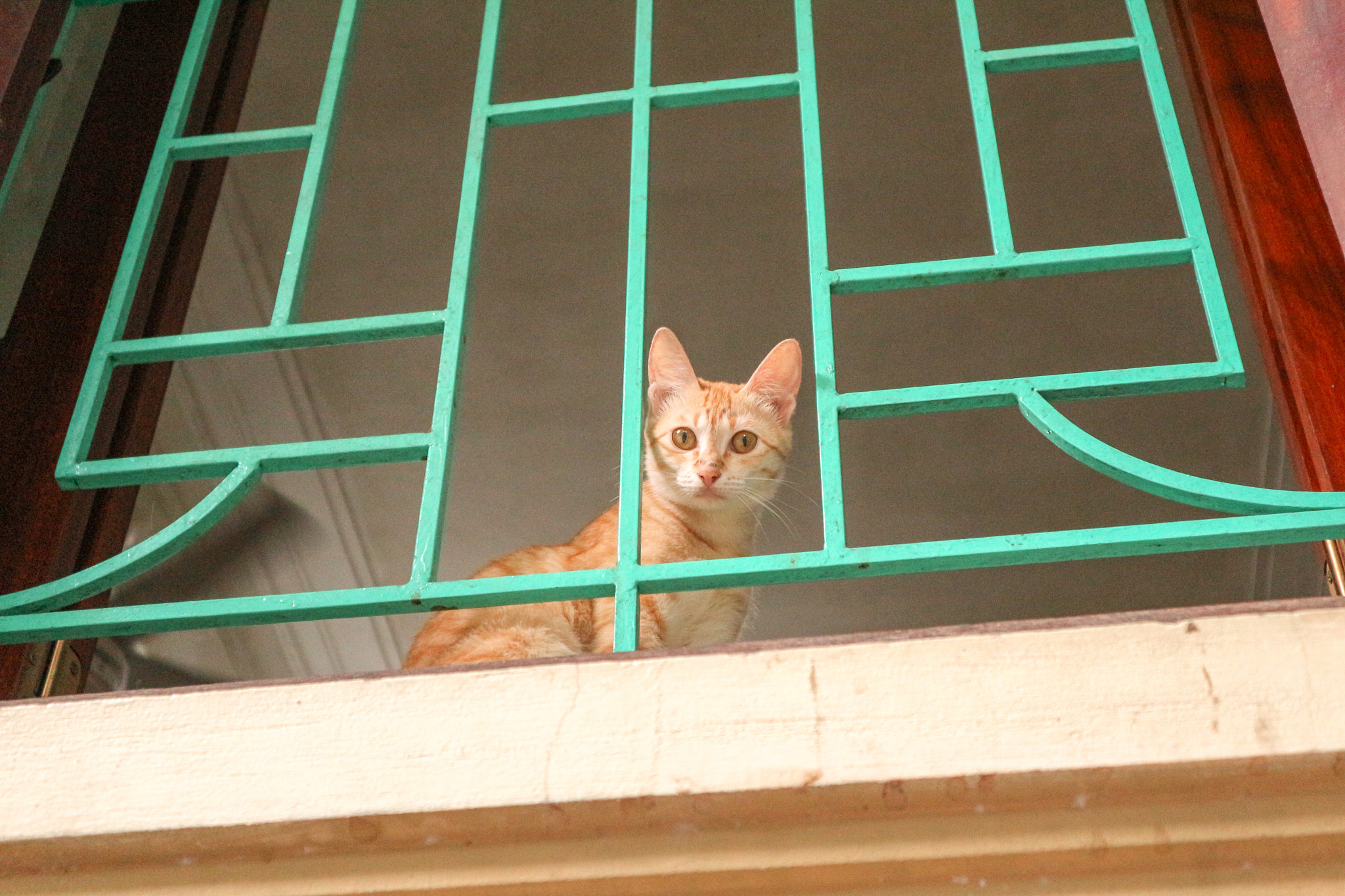 Canon EOS M10 sample photo. Daily life photography