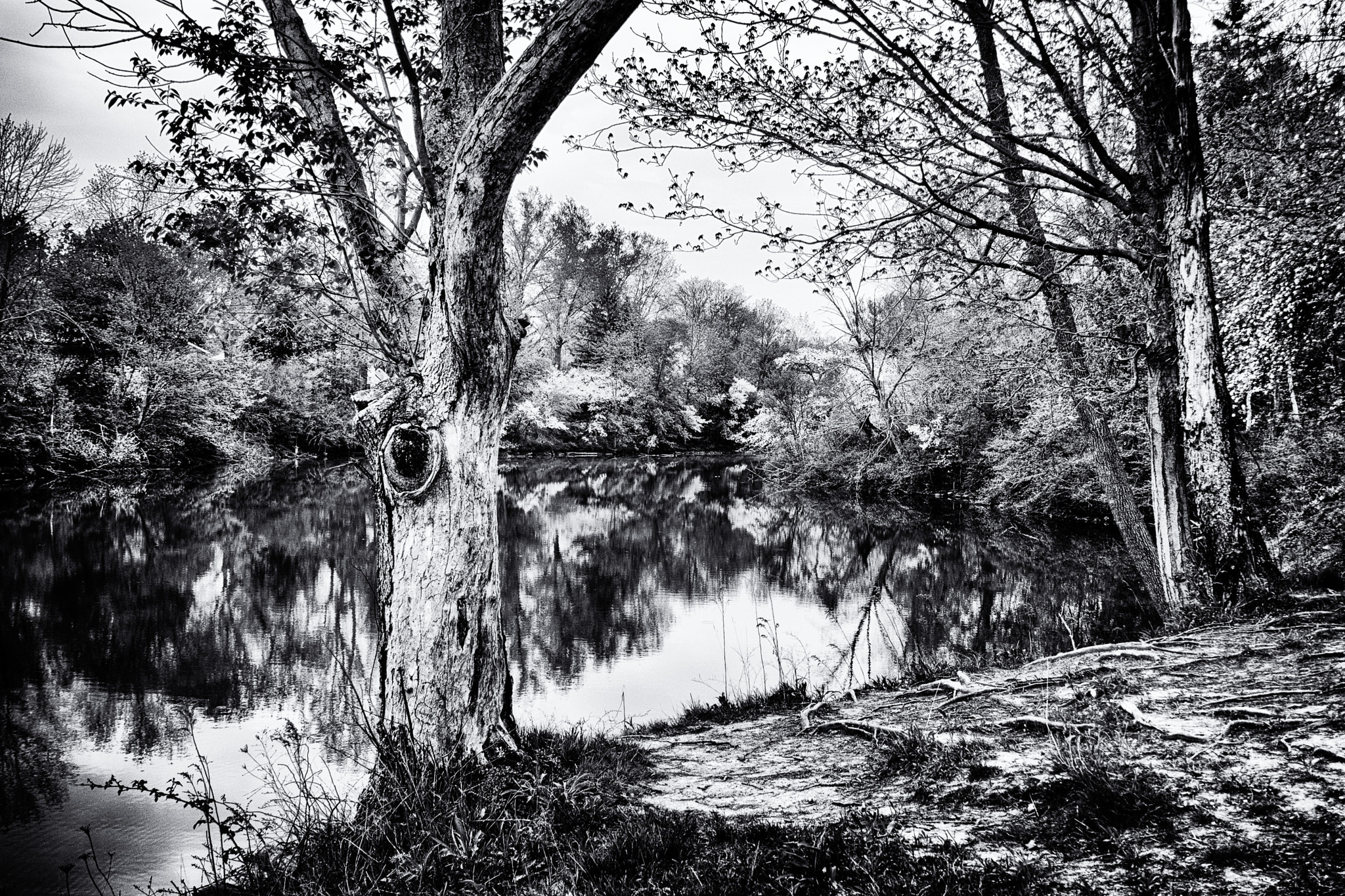 Panasonic Lumix DMC-ZS100 (Lumix DMC-TZ100) sample photo. By the pond photography