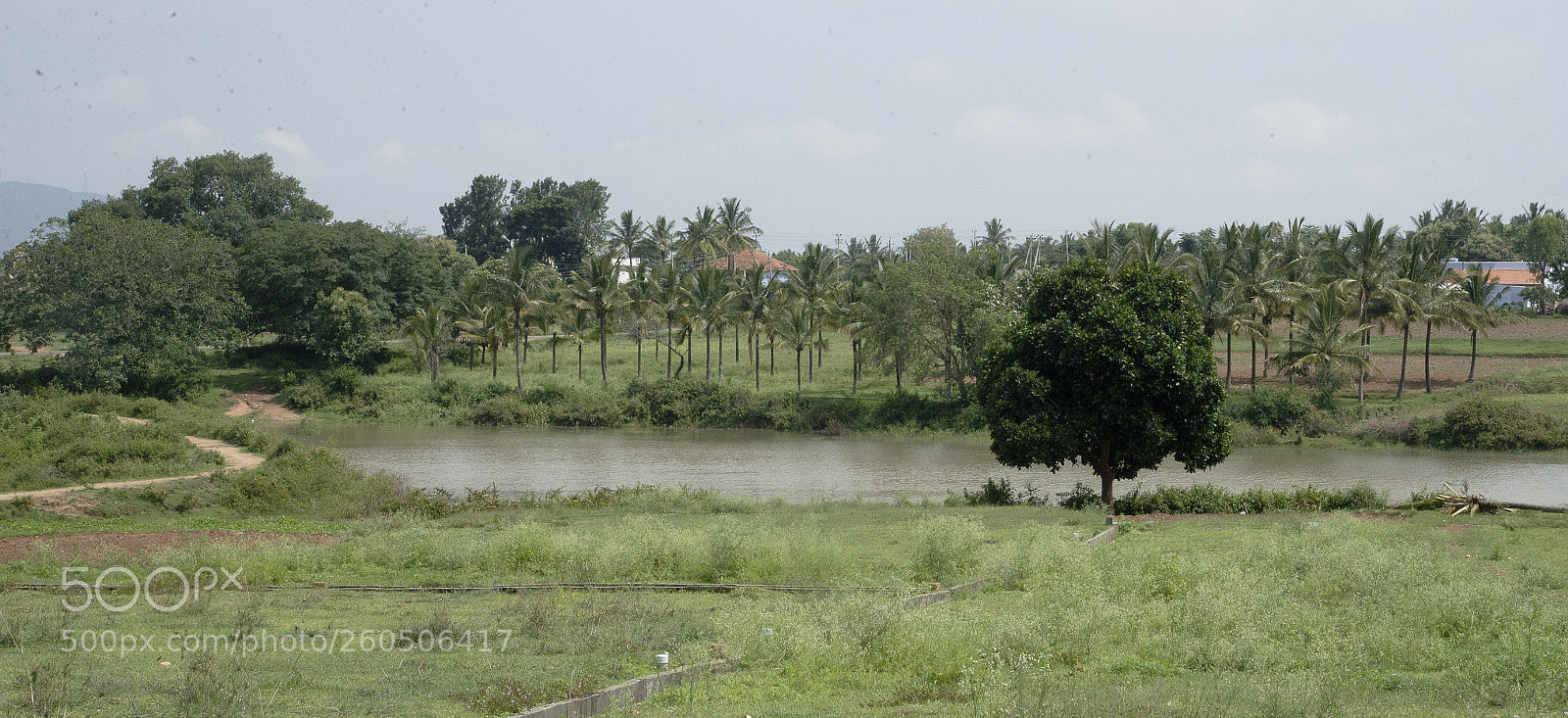 Nikon D610 sample photo. Village pond  photography