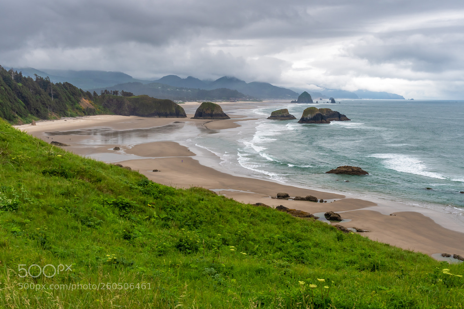 Nikon D500 sample photo. Morning at ecola photography