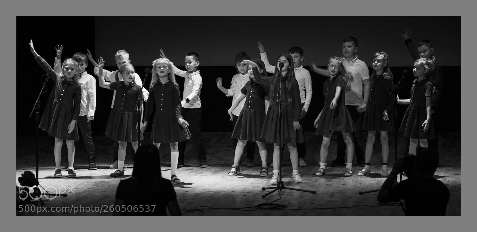 Sony a99 II sample photo. Sing your heart out! photography