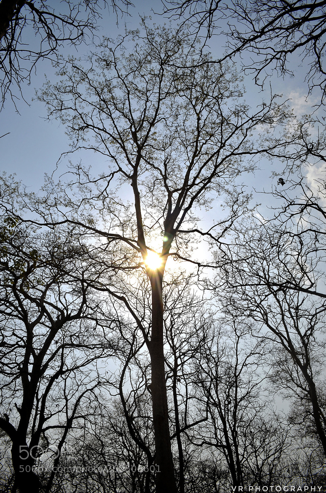 Nikon D5100 sample photo. So what if i'm photography
