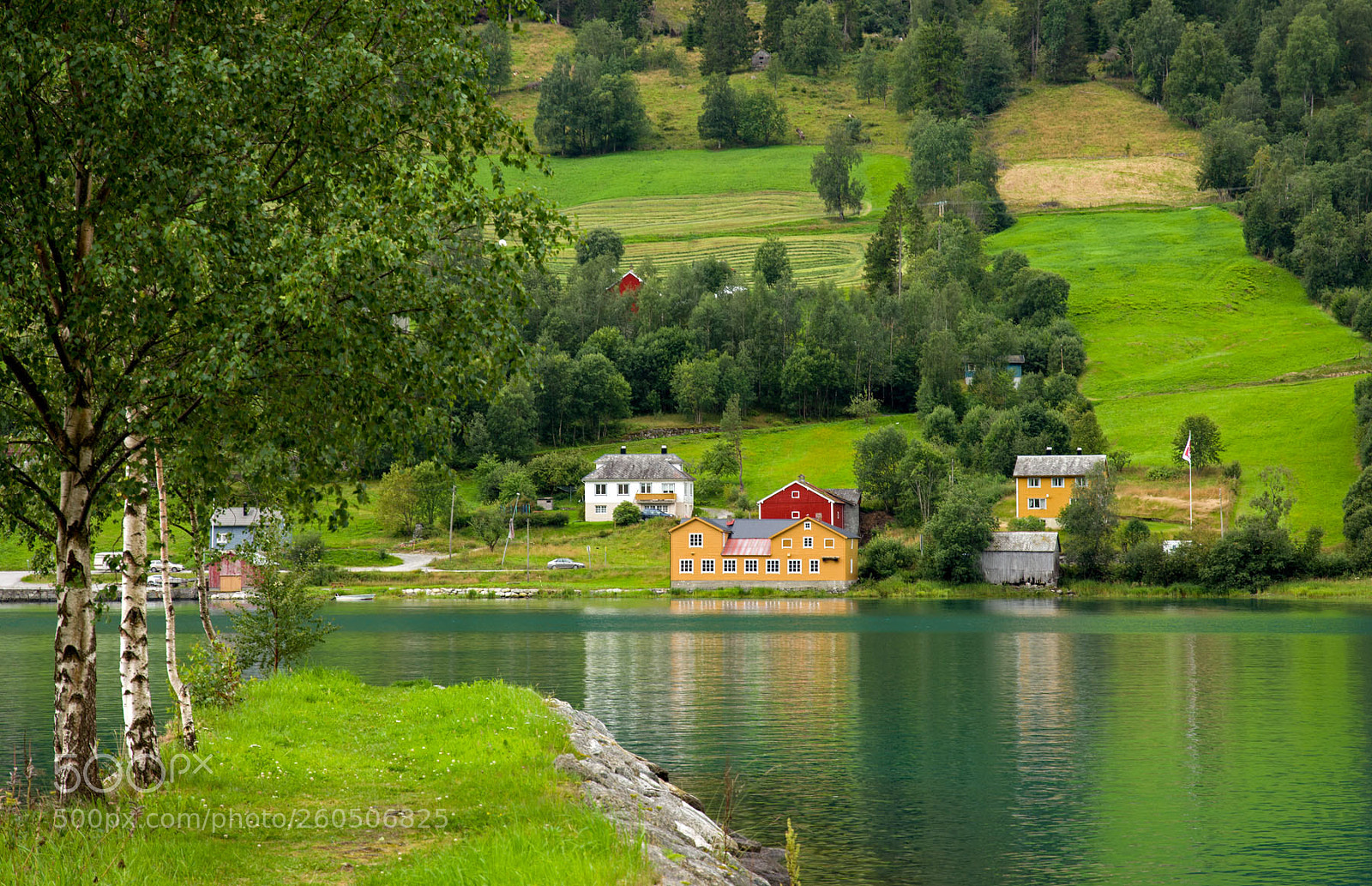 Nikon D7200 sample photo. Nordfjord in olden, norway photography