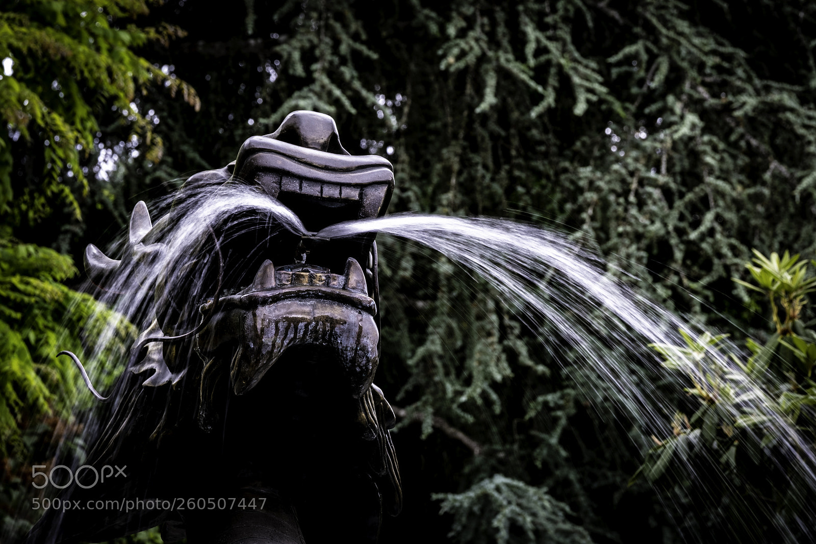 Fujifilm X-T2 sample photo. Source photography