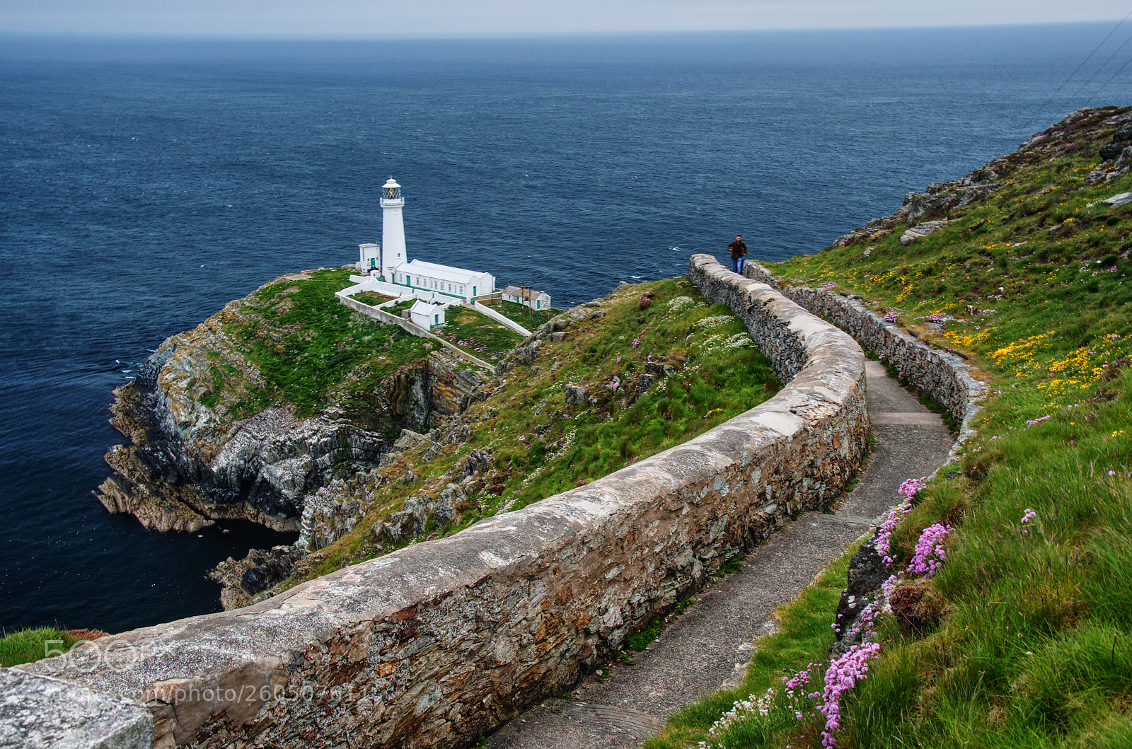 Nikon D7000 sample photo. South stack lighthouse photography