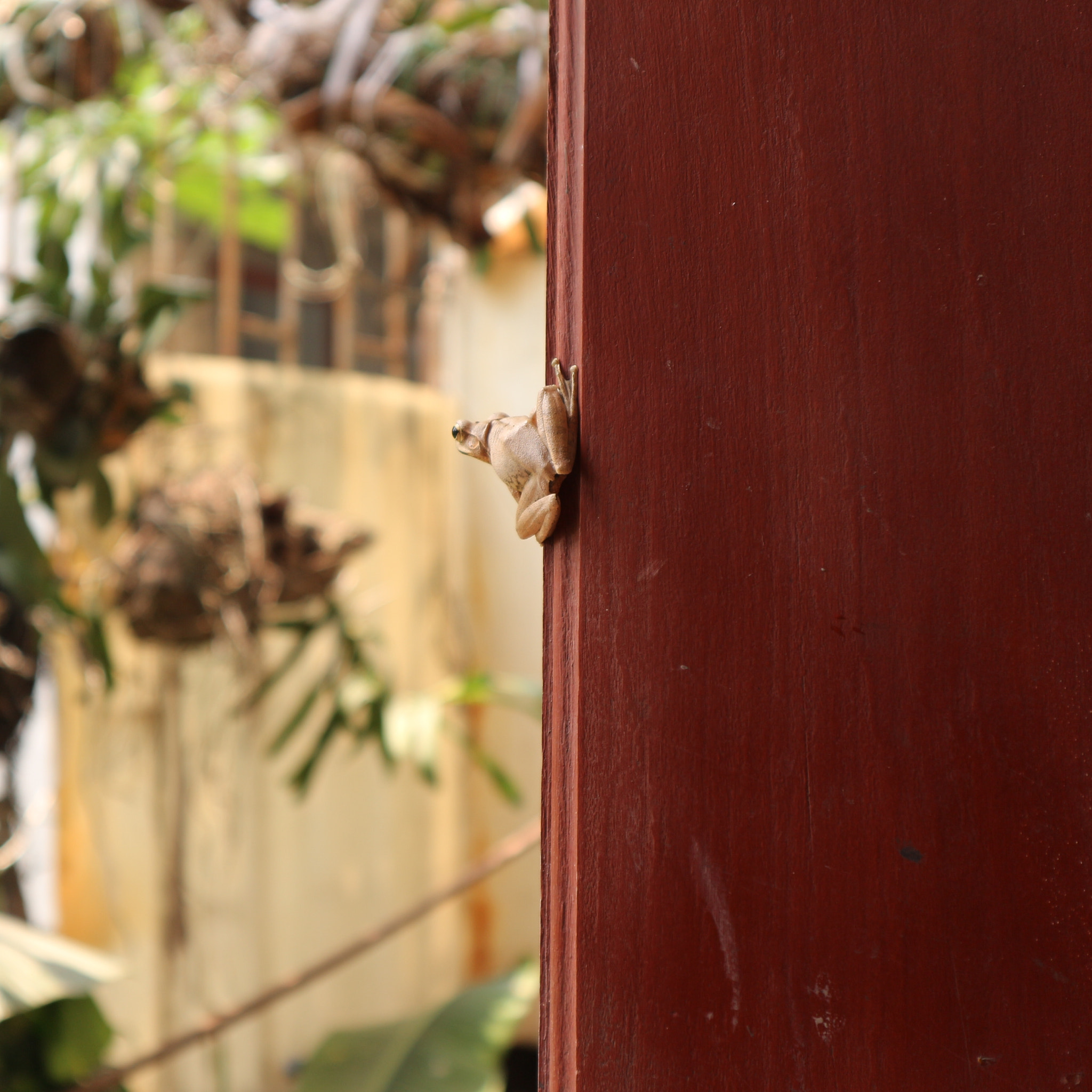 Canon EOS M10 sample photo. Bruu photography
