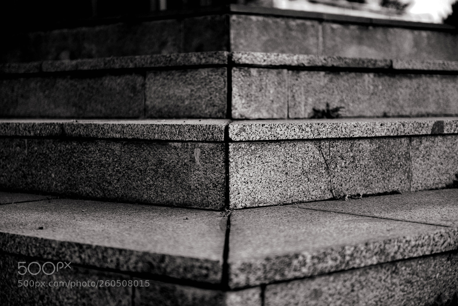 Nikon D800 sample photo. Untitled photography