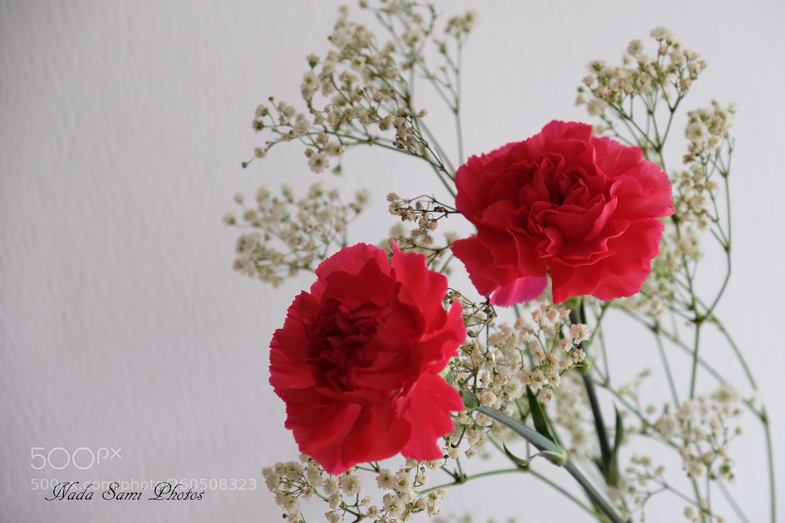Fujifilm X-T2 sample photo. Two carnations photography