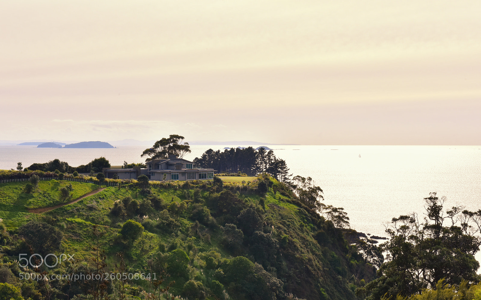 Nikon D810 sample photo. A photography